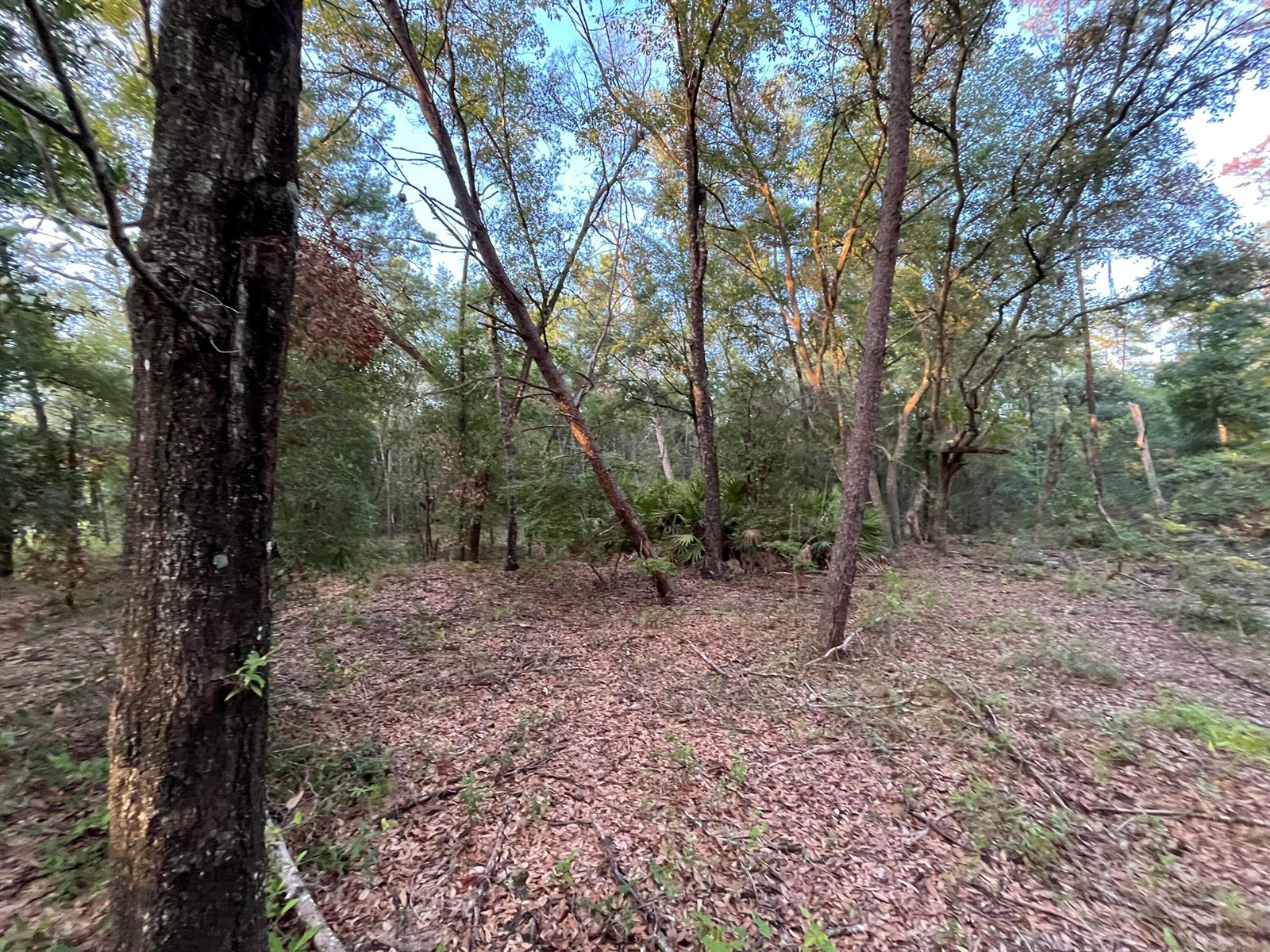   / 0  sq. ft. $ 2025-11-18 0 foto