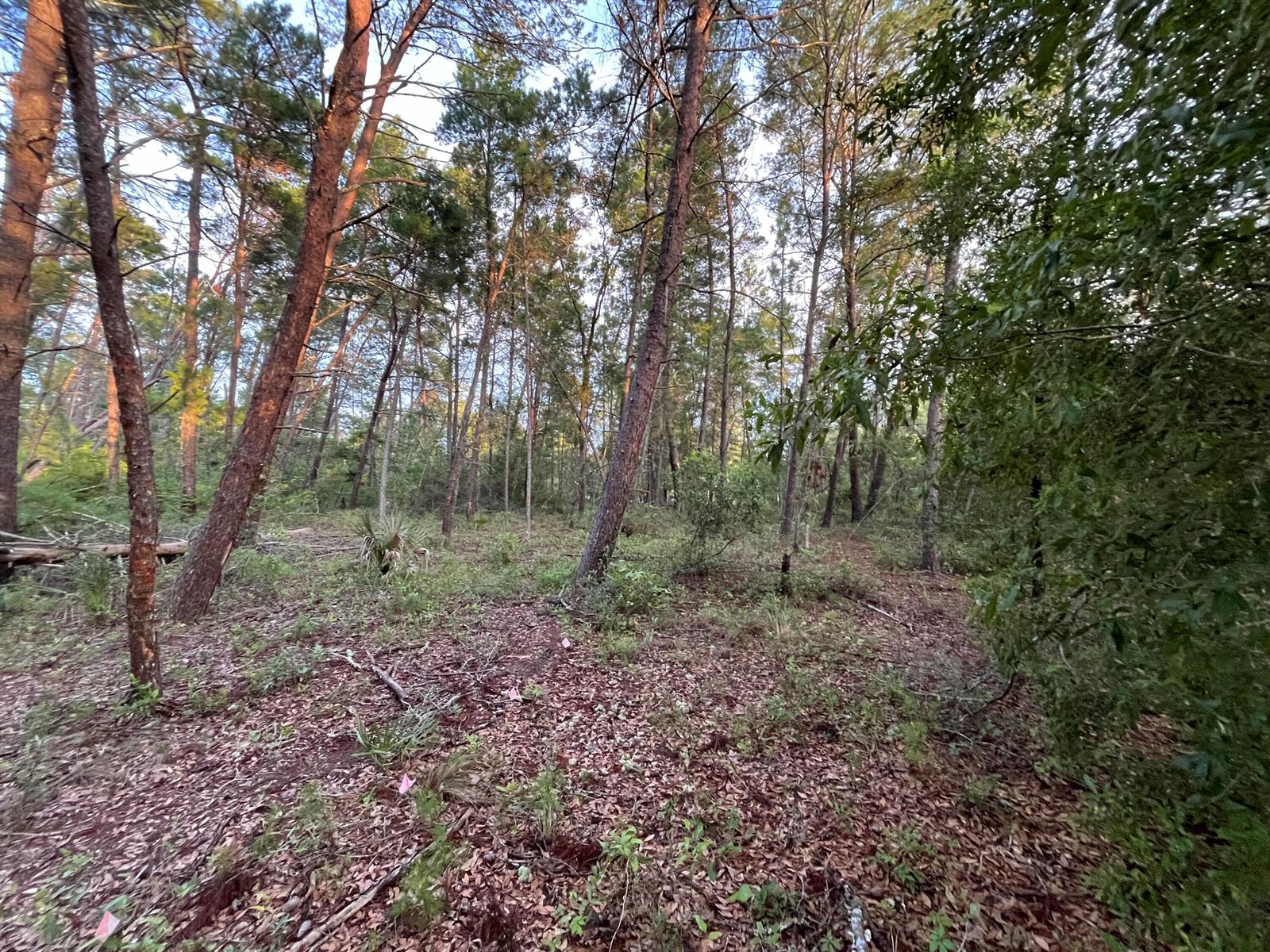   / 0  sq. ft. $ 2025-11-18 0 foto