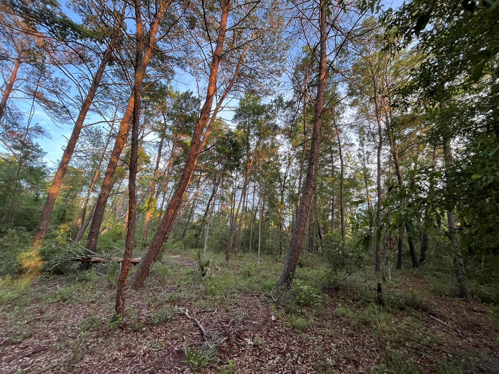   / 0  sq. ft. $ 2025-11-18 0 foto