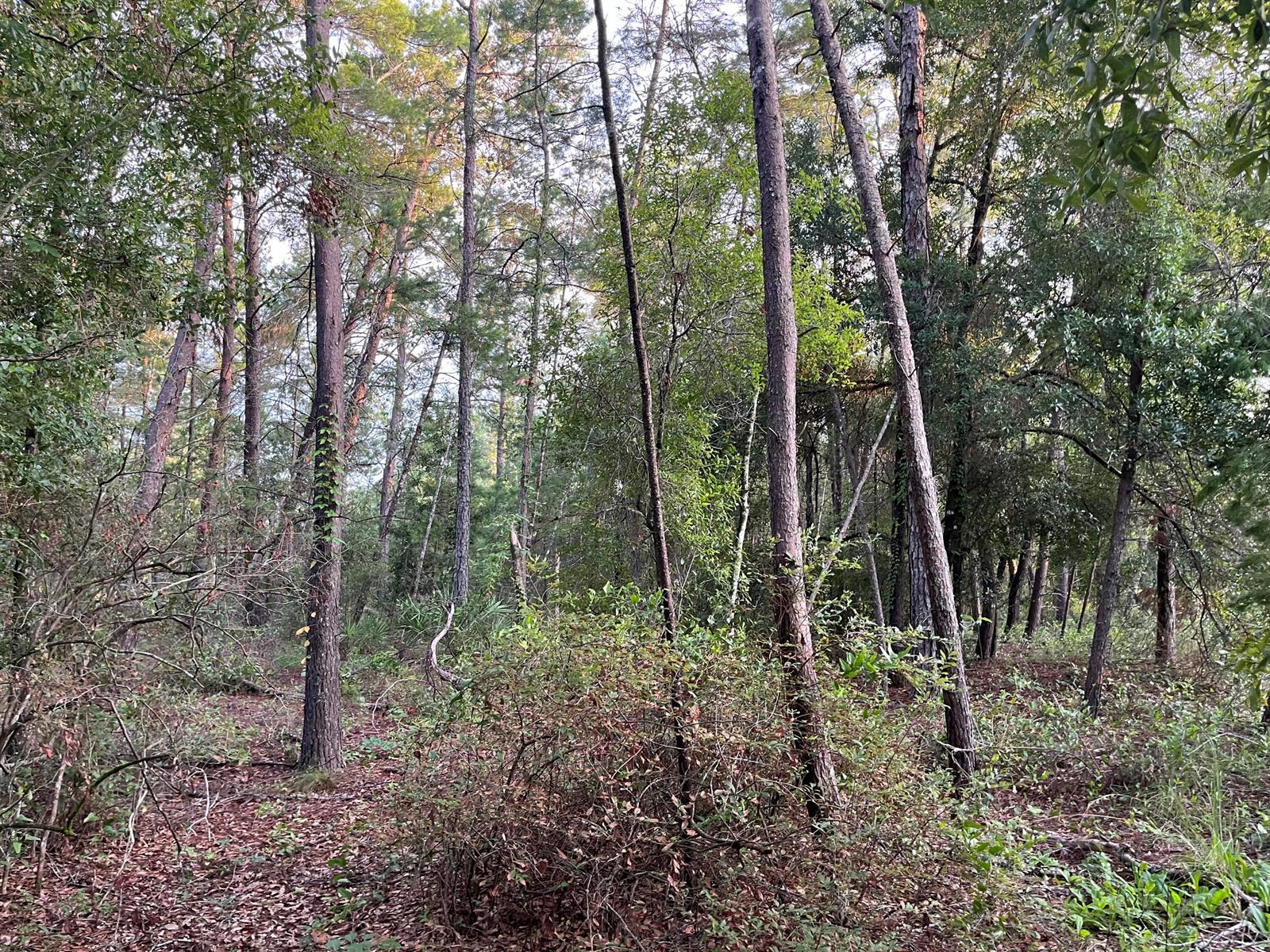   / 0  sq. ft. $ 2025-11-18 0 foto