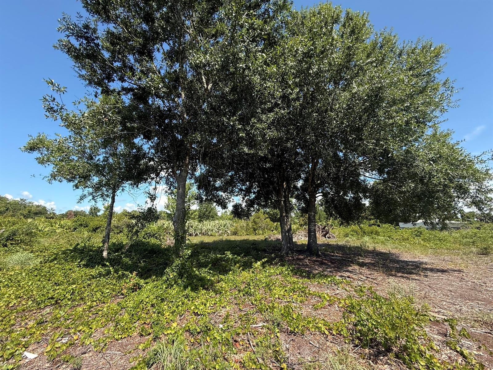   / 0  sq. ft. $ 2025-08-09 0 foto