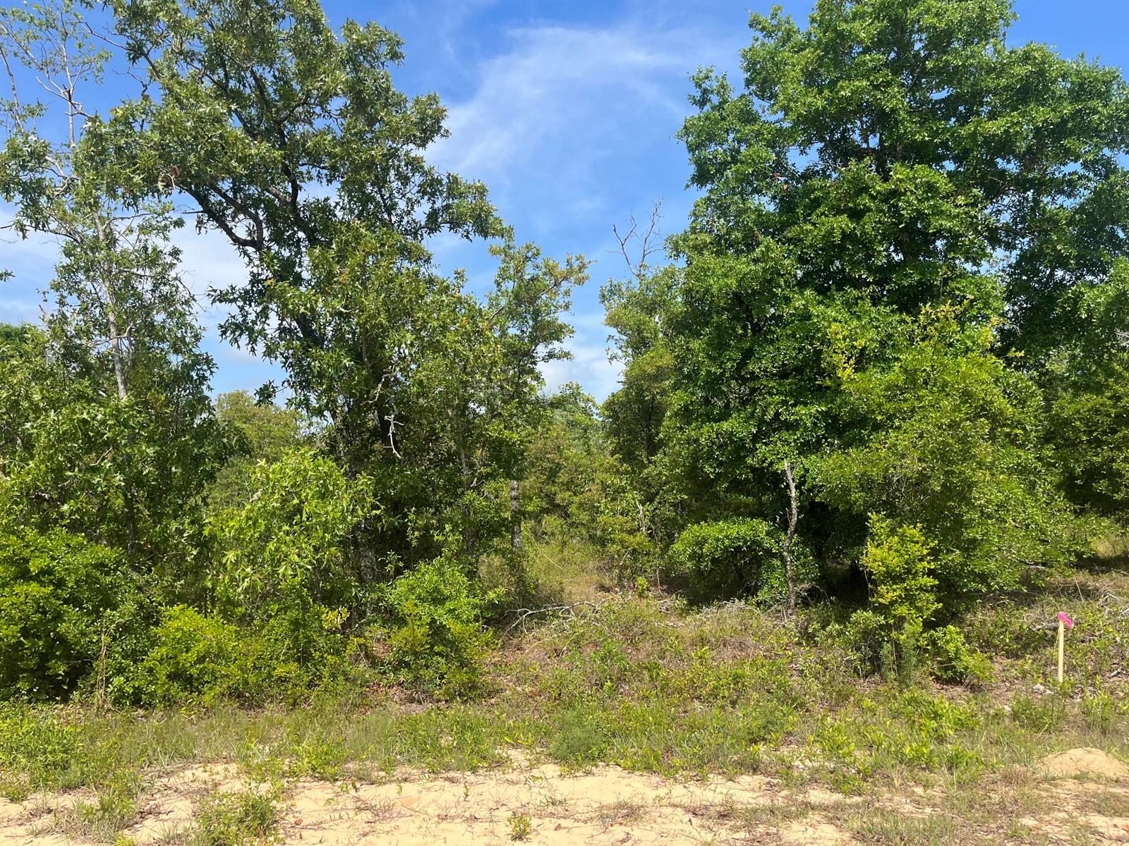 See details / 0 sq. ft. $ 2025-11-19 0 Photo
