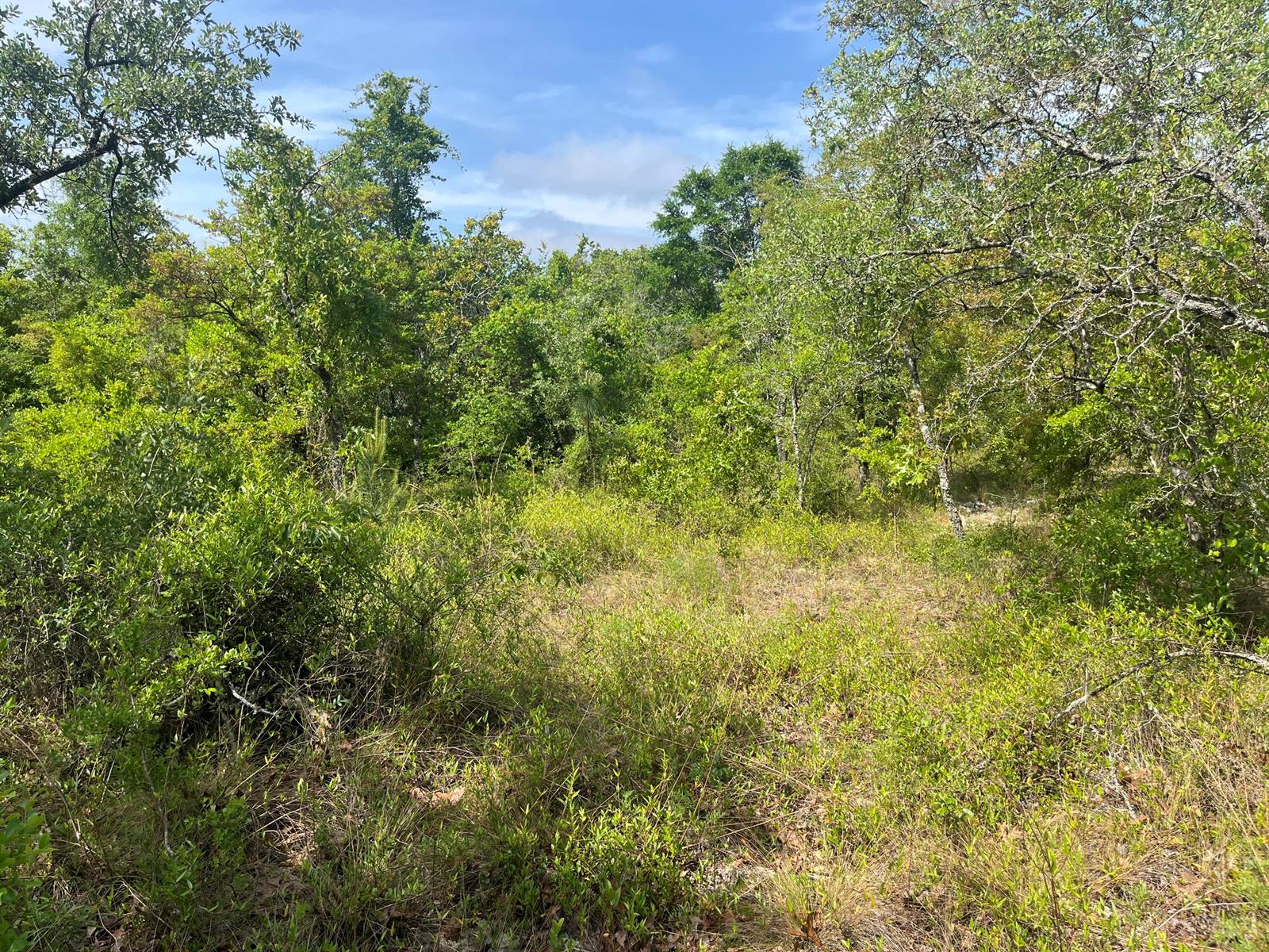 See details / 0 sq. ft. $ 2025-11-19 0 Photo