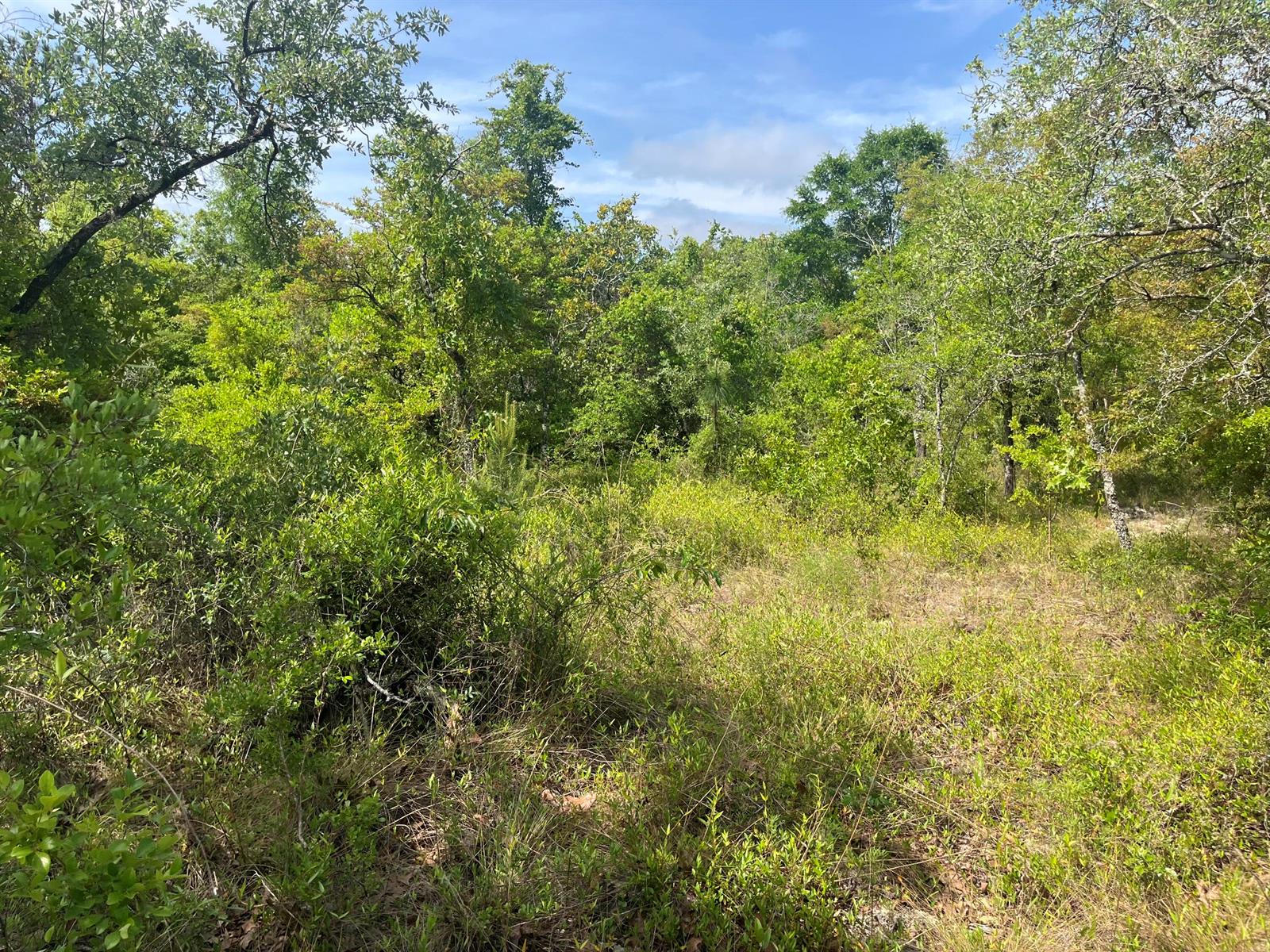 See details / 0 sq. ft. $ 2025-11-19 0 Photo
