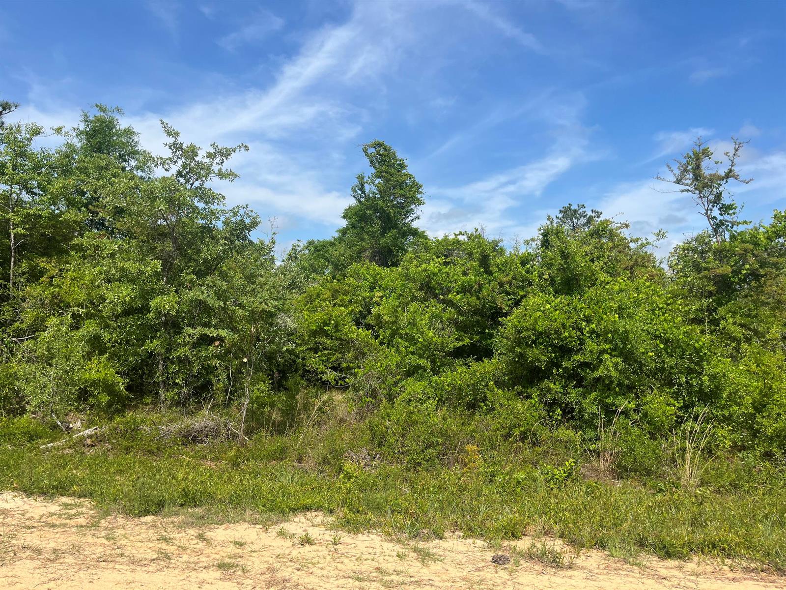 See details / 0 sq. ft. $ 2025-11-19 0 Photo