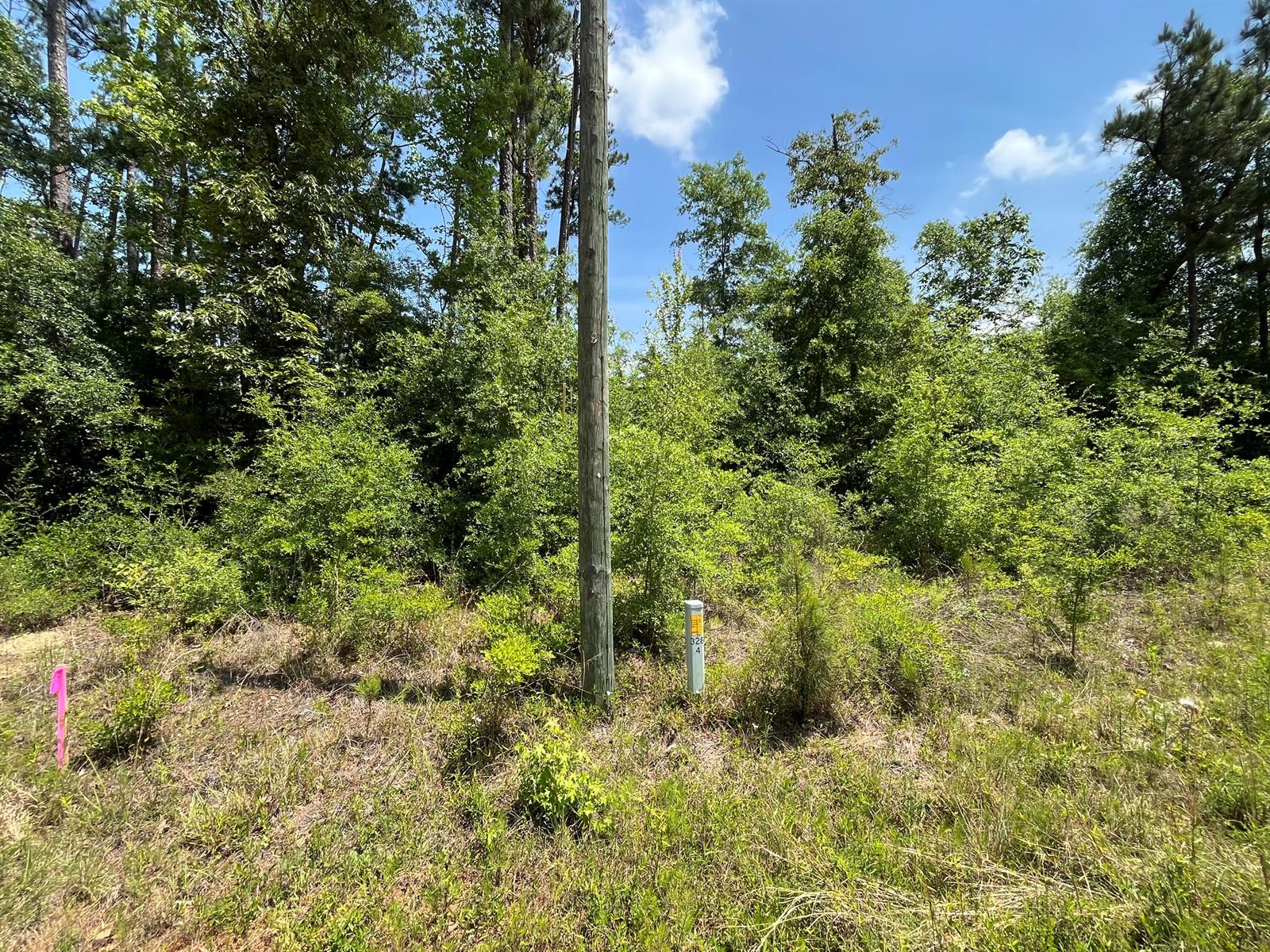   / 0  sq. ft. $ 2025-11-19 0 foto