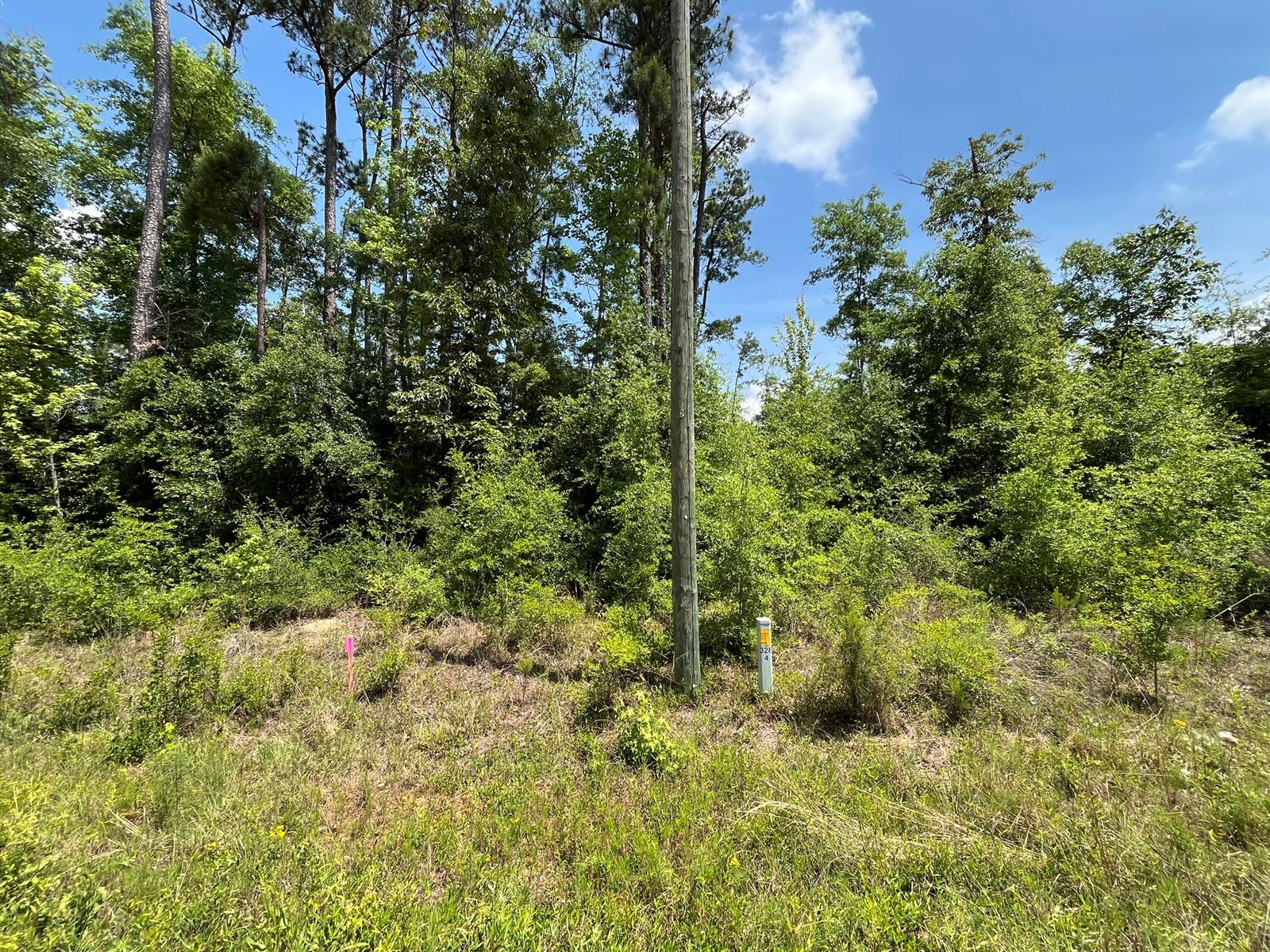   / 0  sq. ft. $ 2025-11-19 0 foto