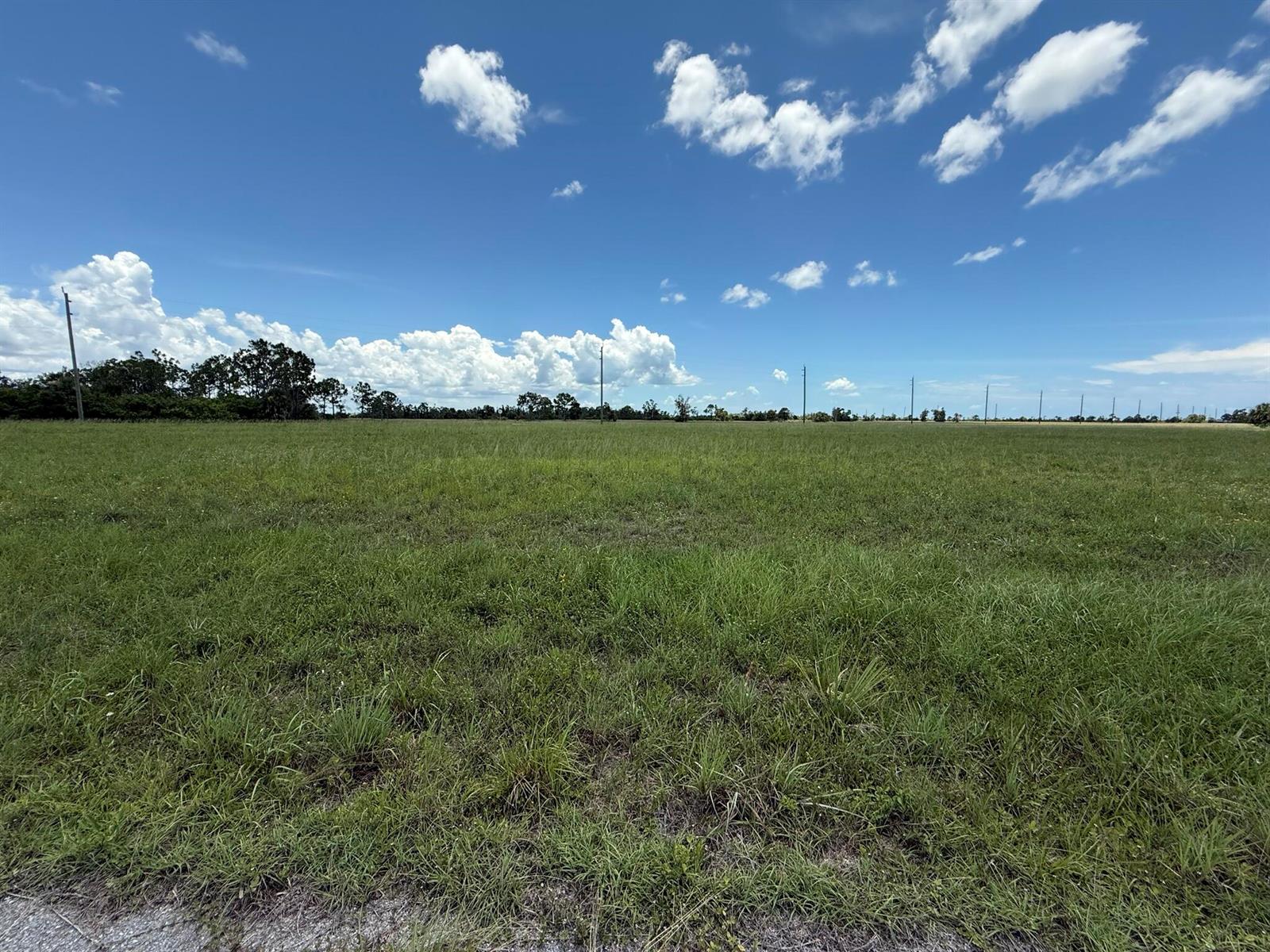 See details / 0 sq. ft. $ 2025-08-09 0 Photo