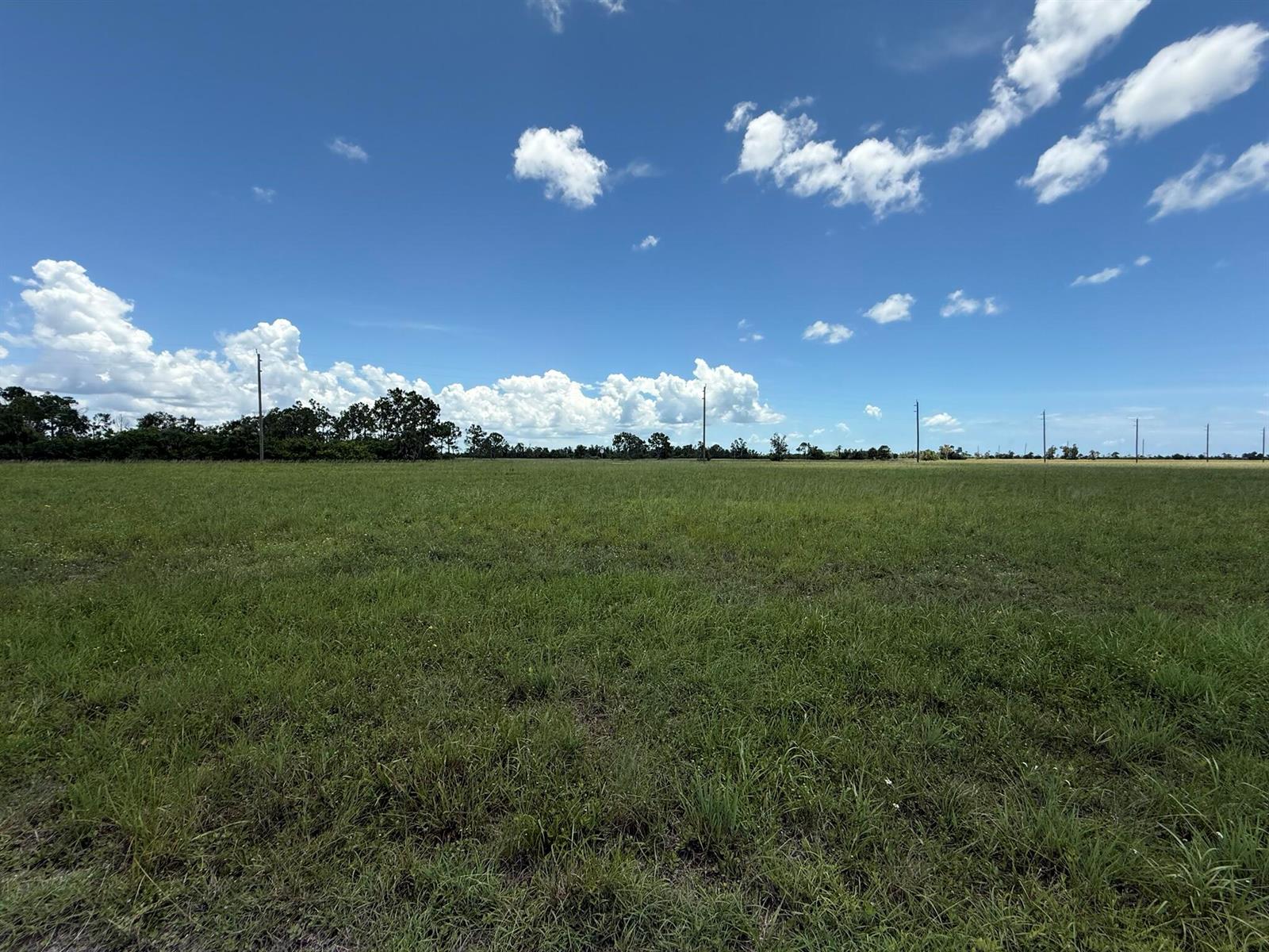 See details / 0 sq. ft. $ 2025-08-09 0 Photo