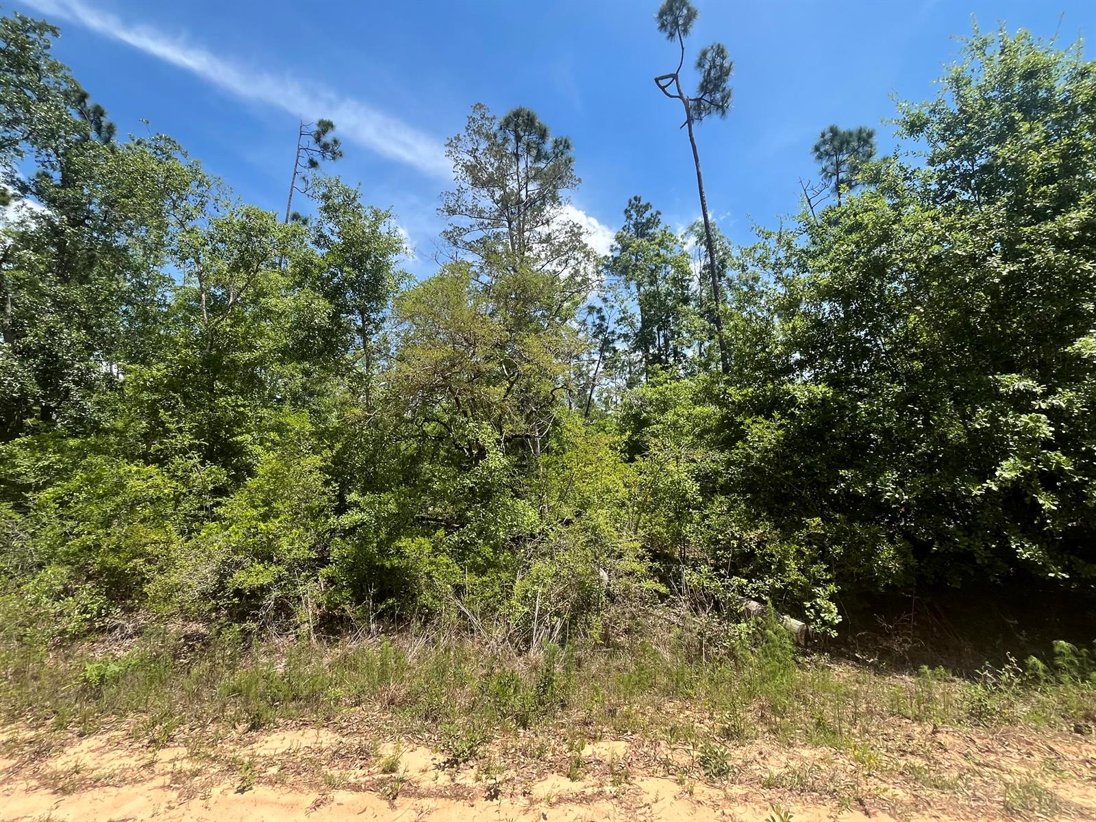   / 0  sq. ft. $ 2025-11-19 0 foto