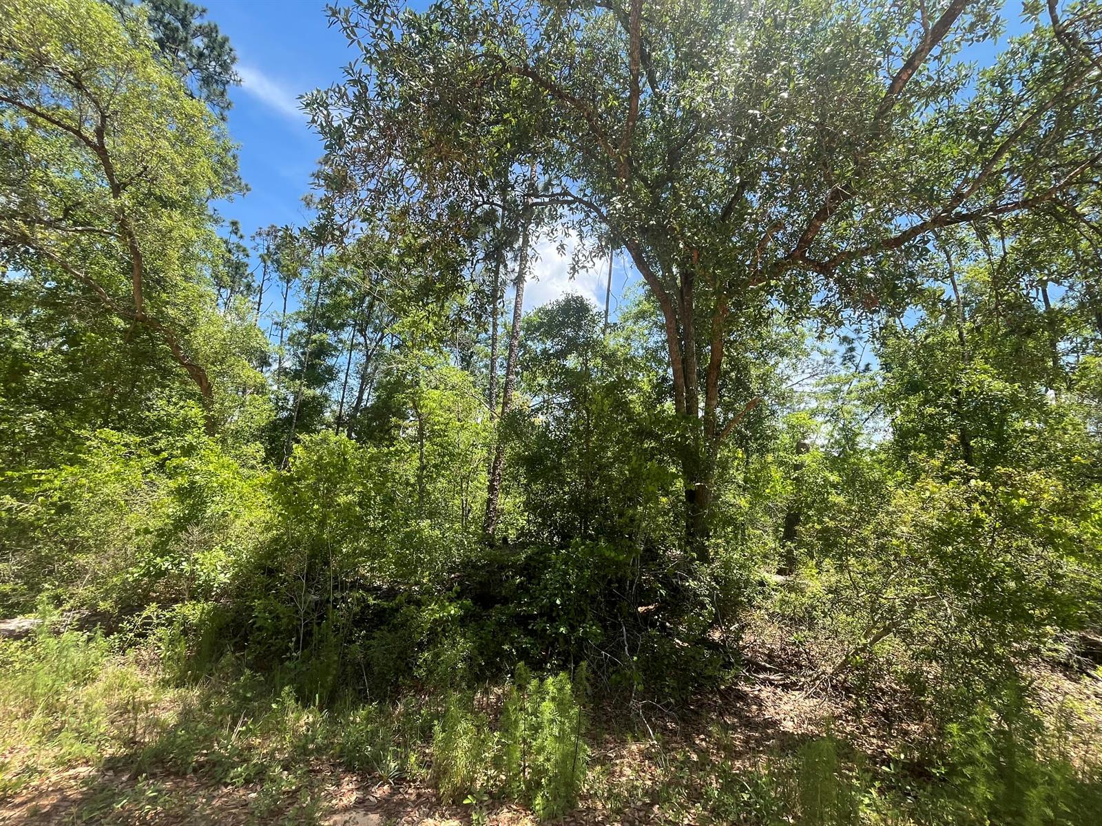   / 0  sq. ft. $ 2025-11-19 0 foto