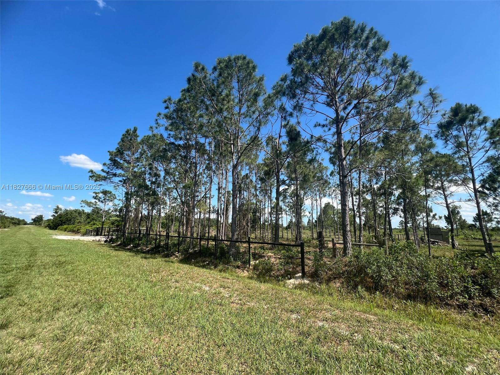 See details / sq. ft. $ 2025-07-24 0 Photo