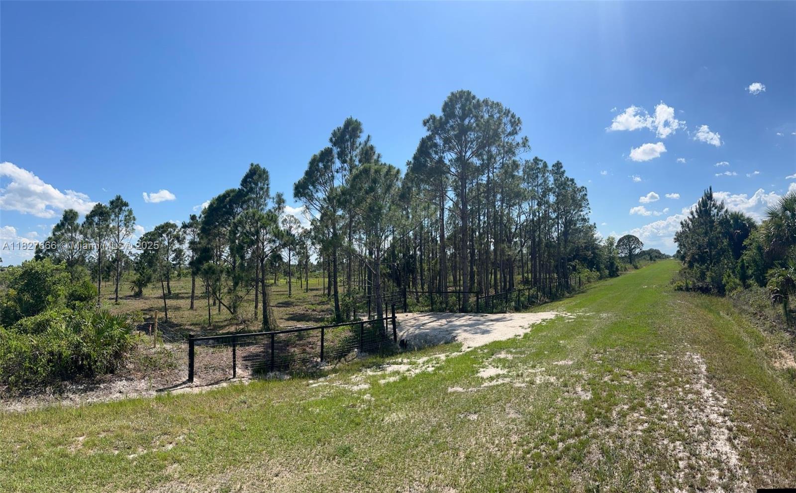 See details / sq. ft. $ 2025-07-24 0 Photo