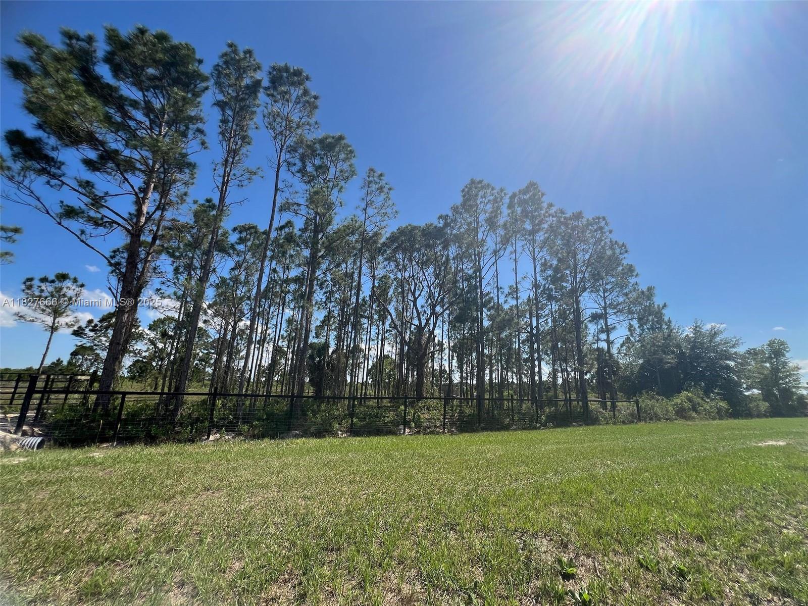 See details / sq. ft. $ 2025-07-24 0 Photo