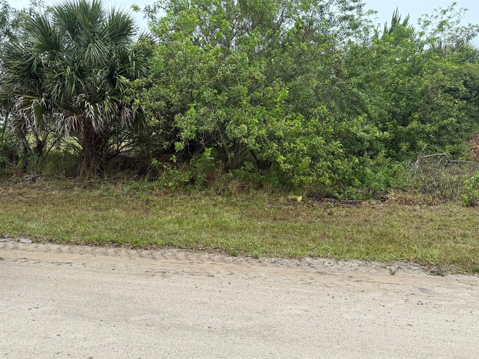 See details / 0 sq. ft. $ 2026-06-19 0 Photo