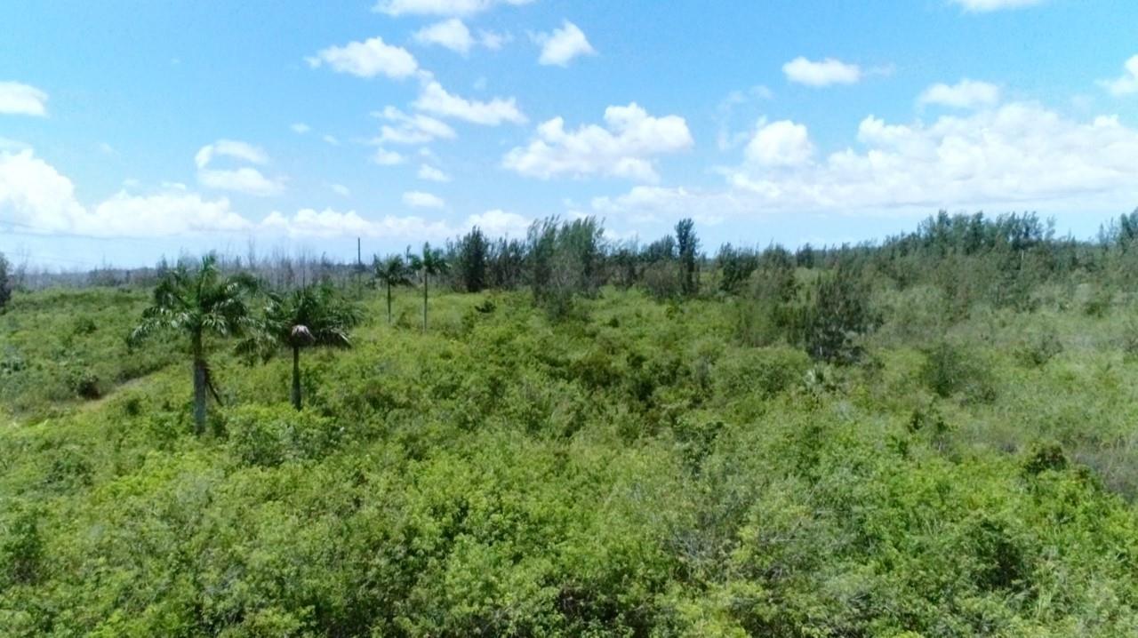   / 0  sq. ft. $ 2026-06-13 0 Photo