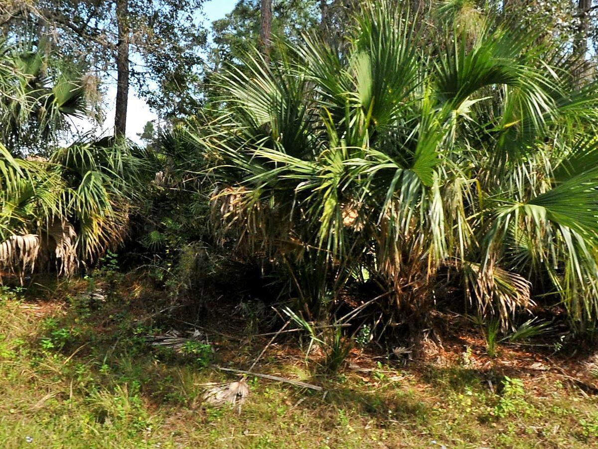 See details / 0 sq. ft. $ 2026-06-19 0 Photo