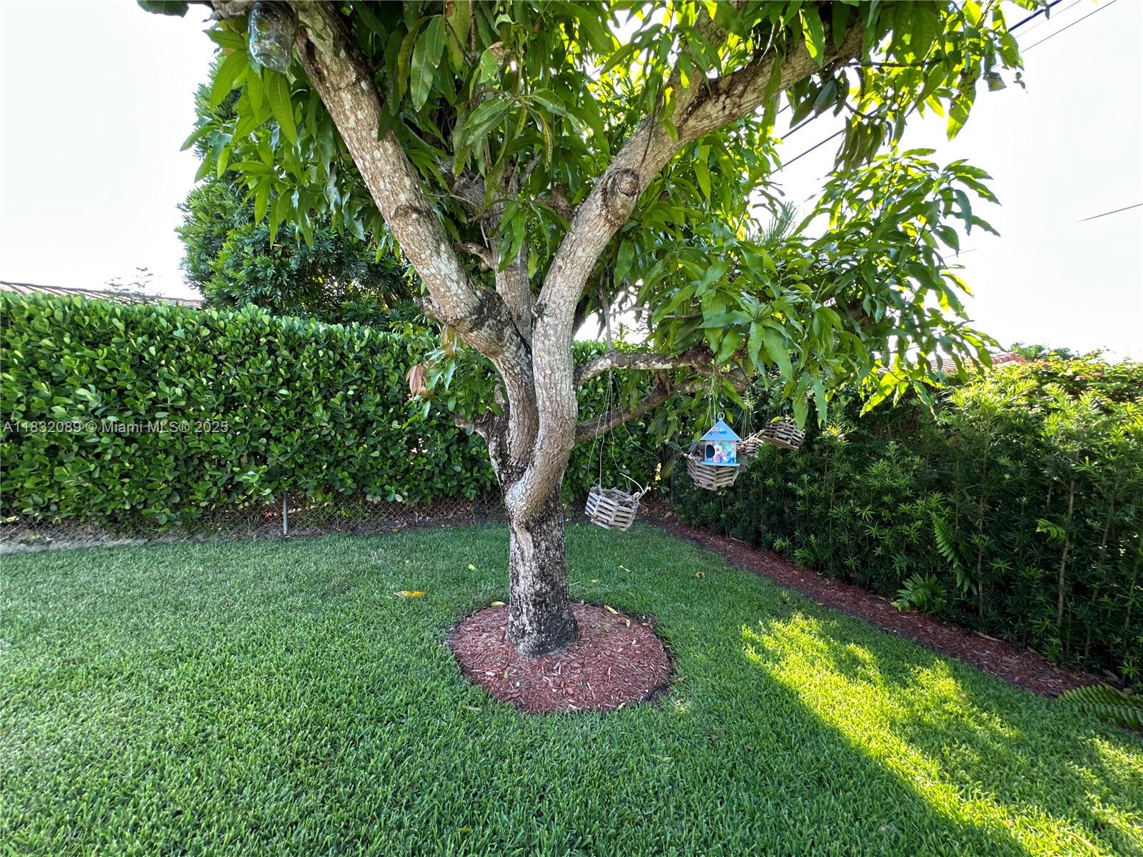 See details 8821 4 / 2 2182 sq. ft. $ 2025-07-28 0 Photo