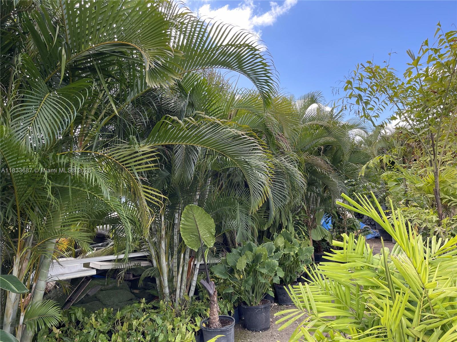 See details / sq. ft. $ 2025-07-26 0 Photo