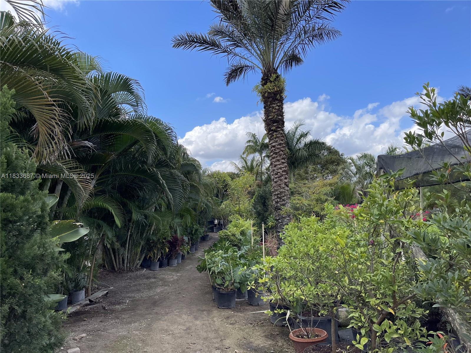 See details / sq. ft. $ 2025-07-26 0 Photo