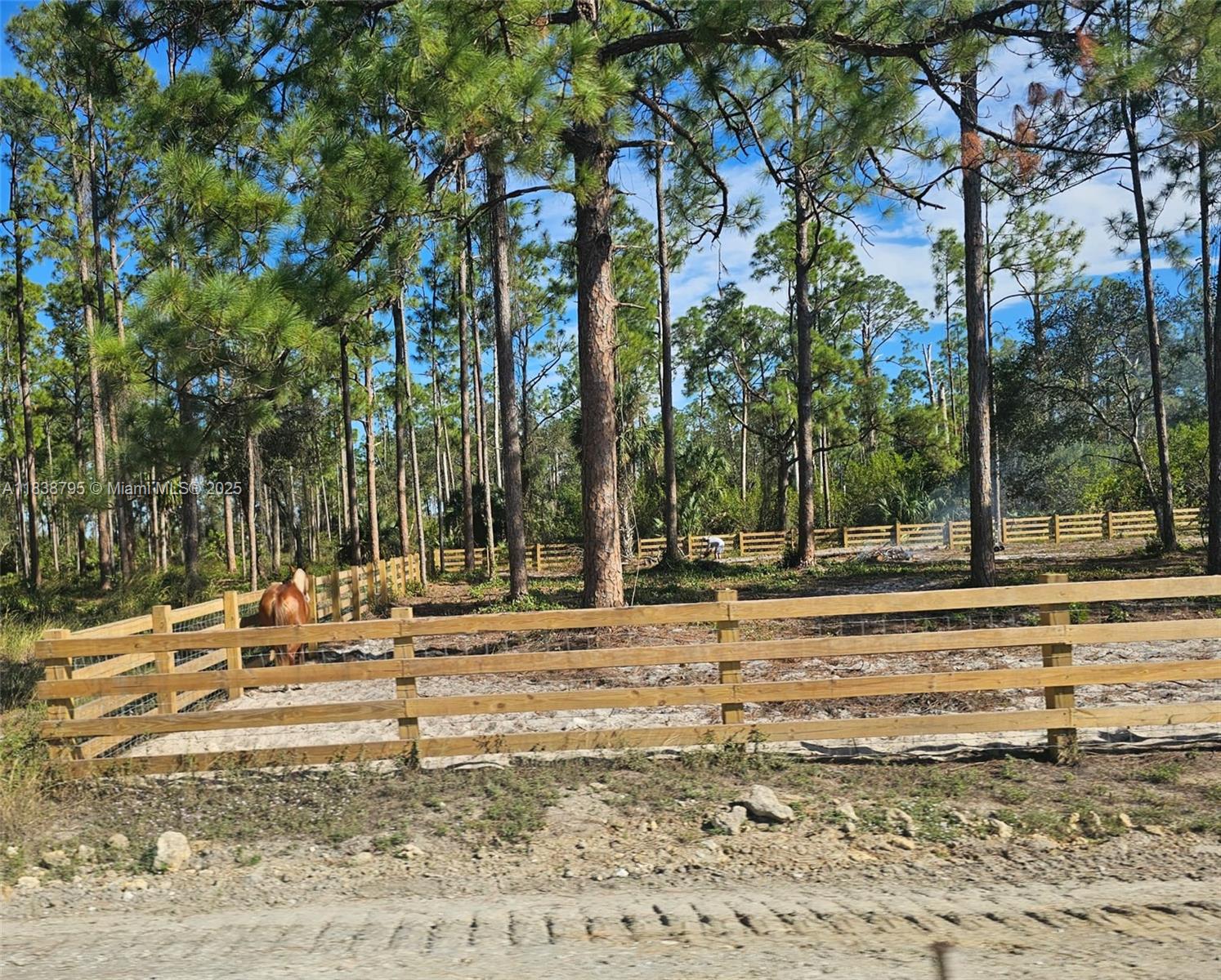 See details / sq. ft. $ 2025-07-14 0 Photo