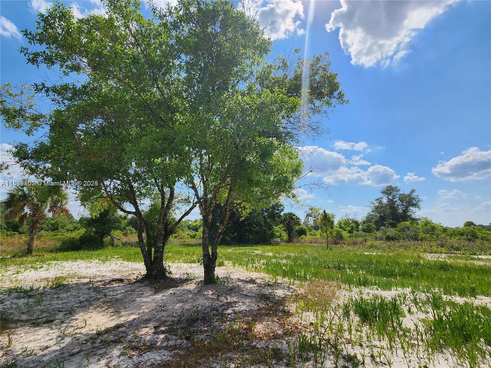 See details / sq. ft. $ 2025-07-22 0 Photo