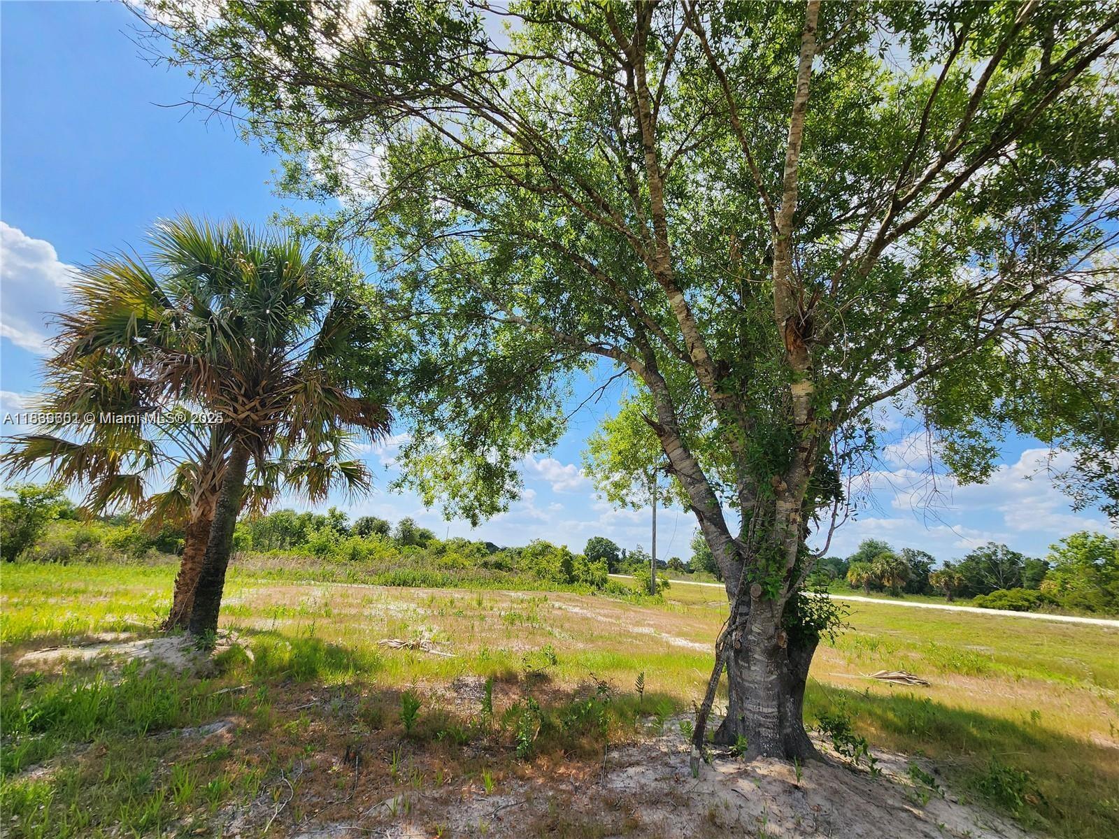 See details / sq. ft. $ 2025-07-22 0 Photo
