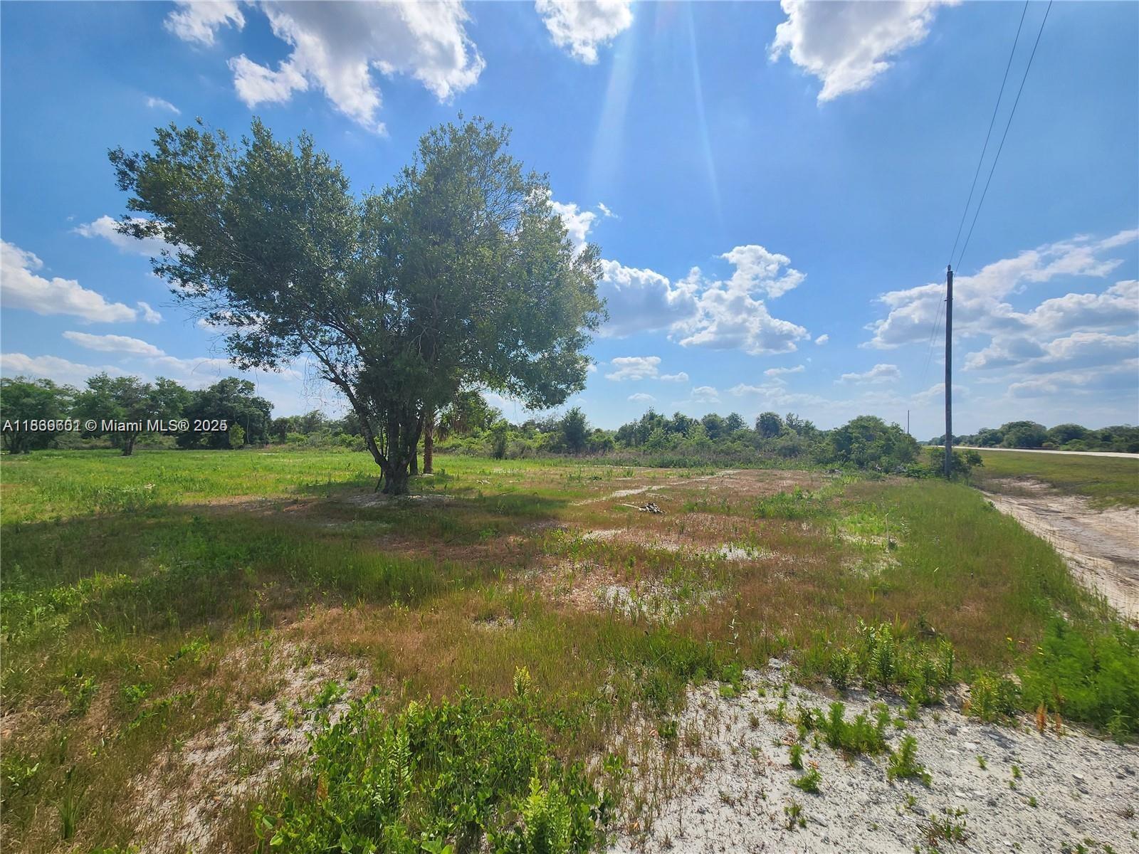 See details / sq. ft. $ 2025-07-22 0 Photo