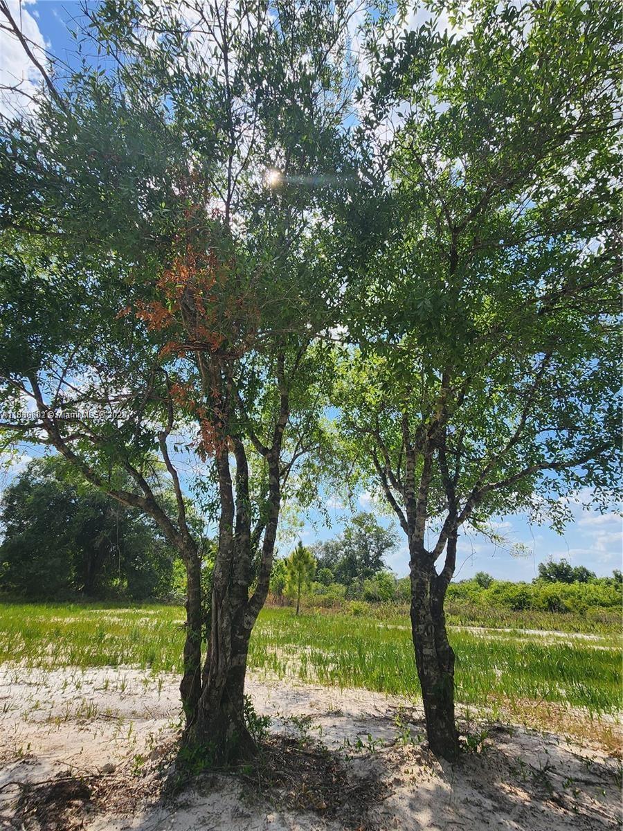 See details / sq. ft. $ 2025-07-22 0 Photo