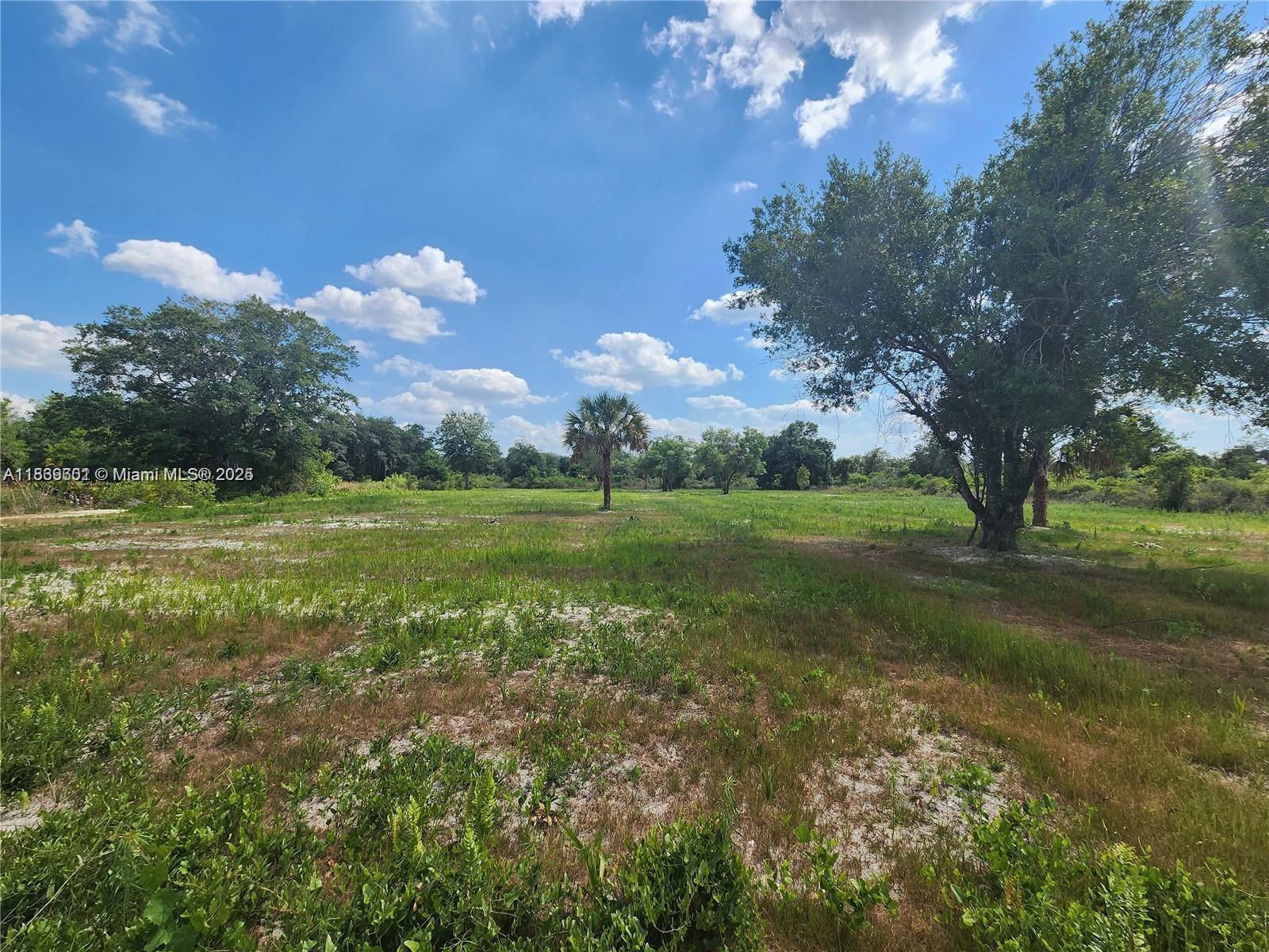 See details / sq. ft. $ 2025-07-22 0 Photo