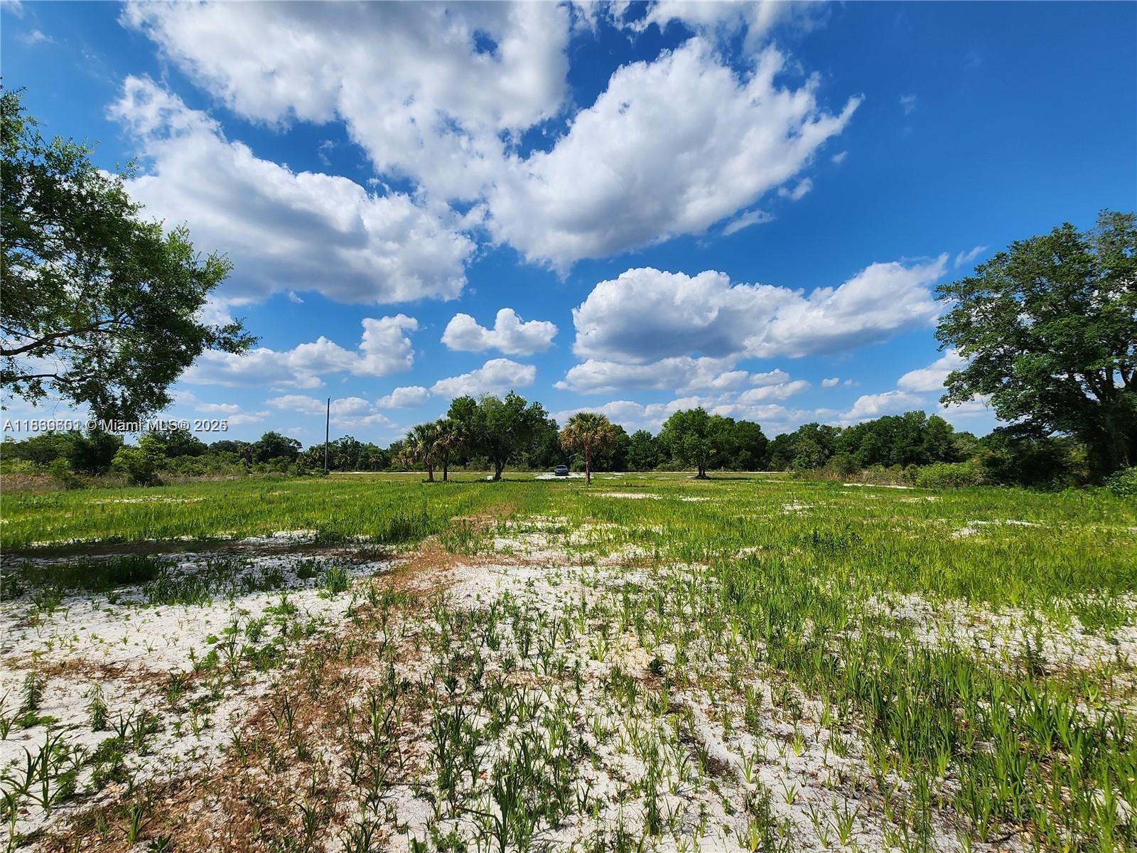 See details / sq. ft. $ 2025-07-22 0 Photo