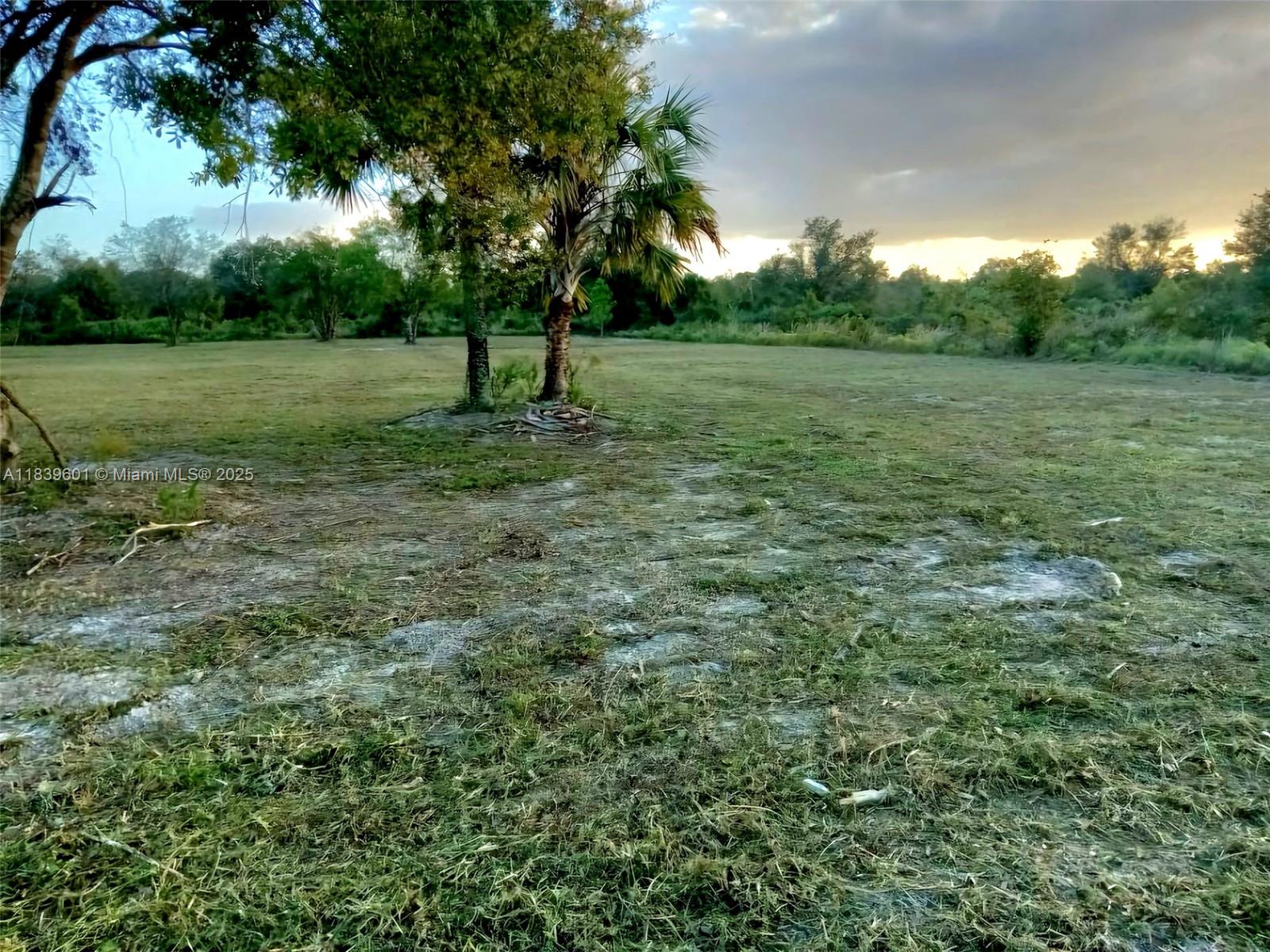 See details / sq. ft. $ 2025-07-22 0 Photo