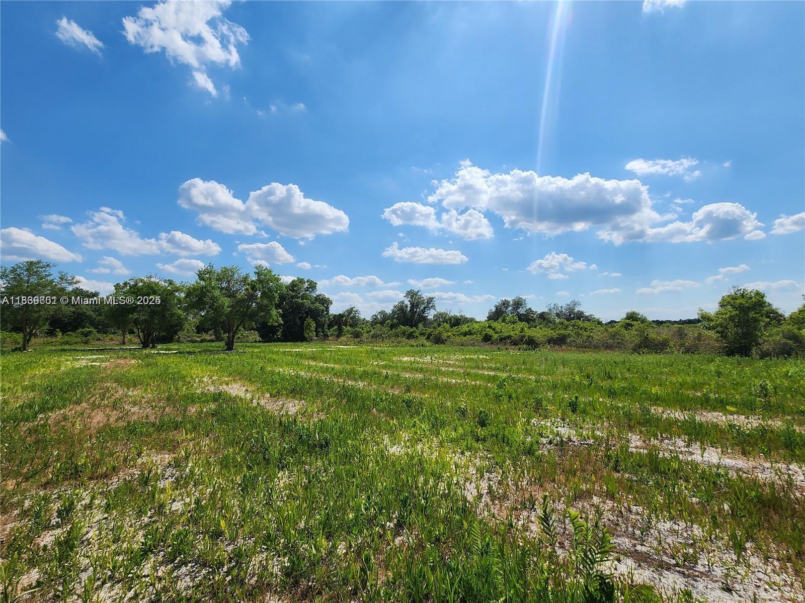 See details / sq. ft. $ 2025-07-22 0 Photo