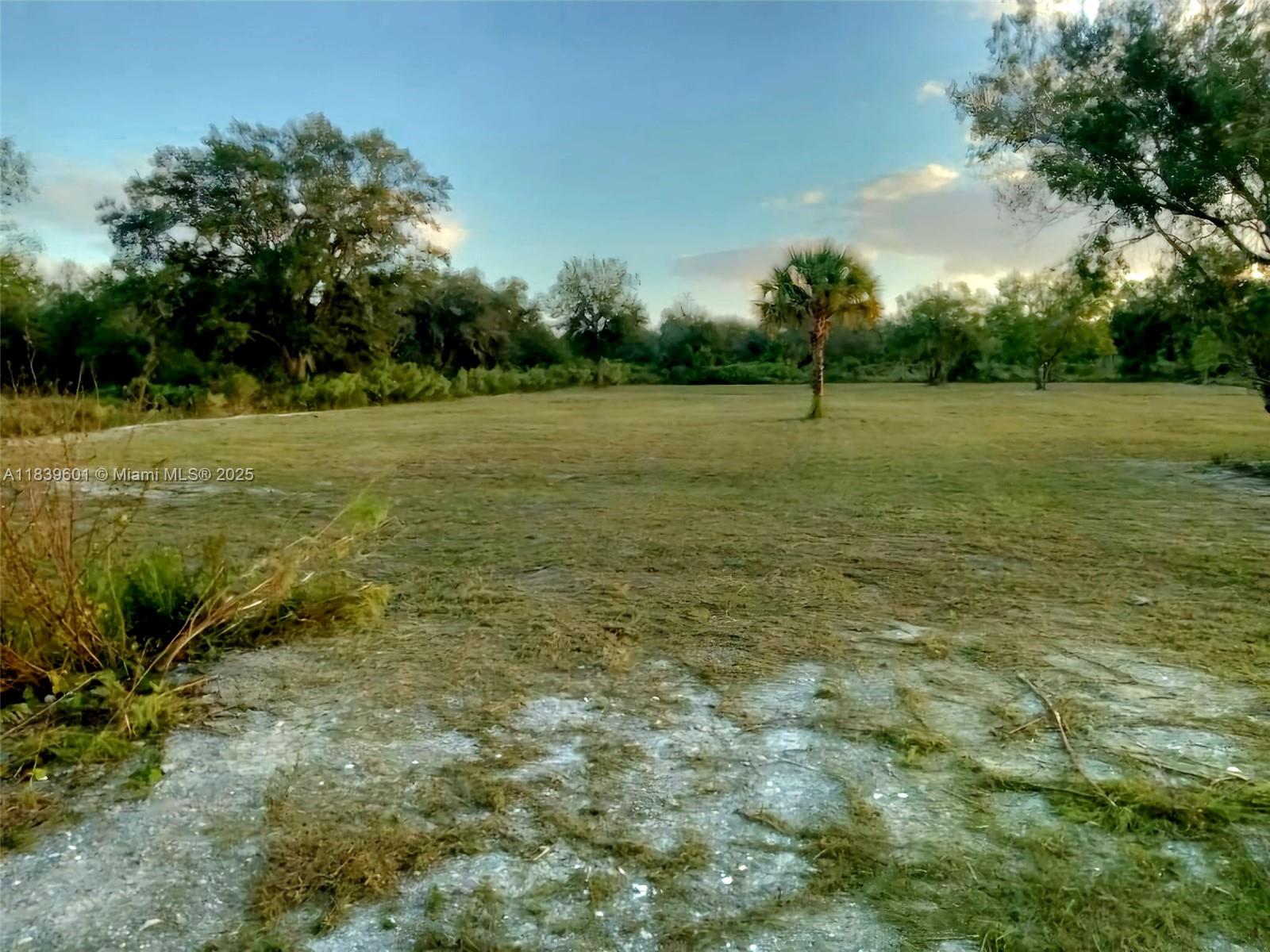 See details / sq. ft. $ 2025-07-22 0 Photo