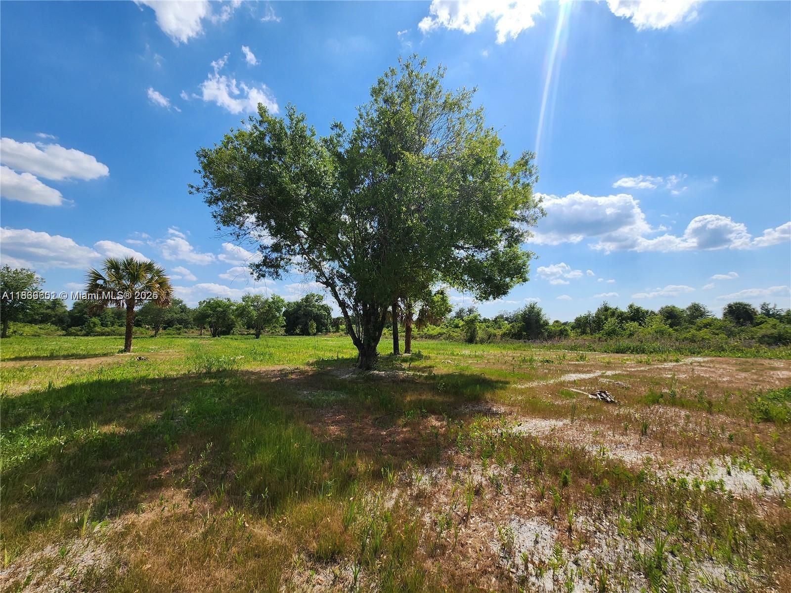 See details / sq. ft. $ 2025-07-22 0 Photo