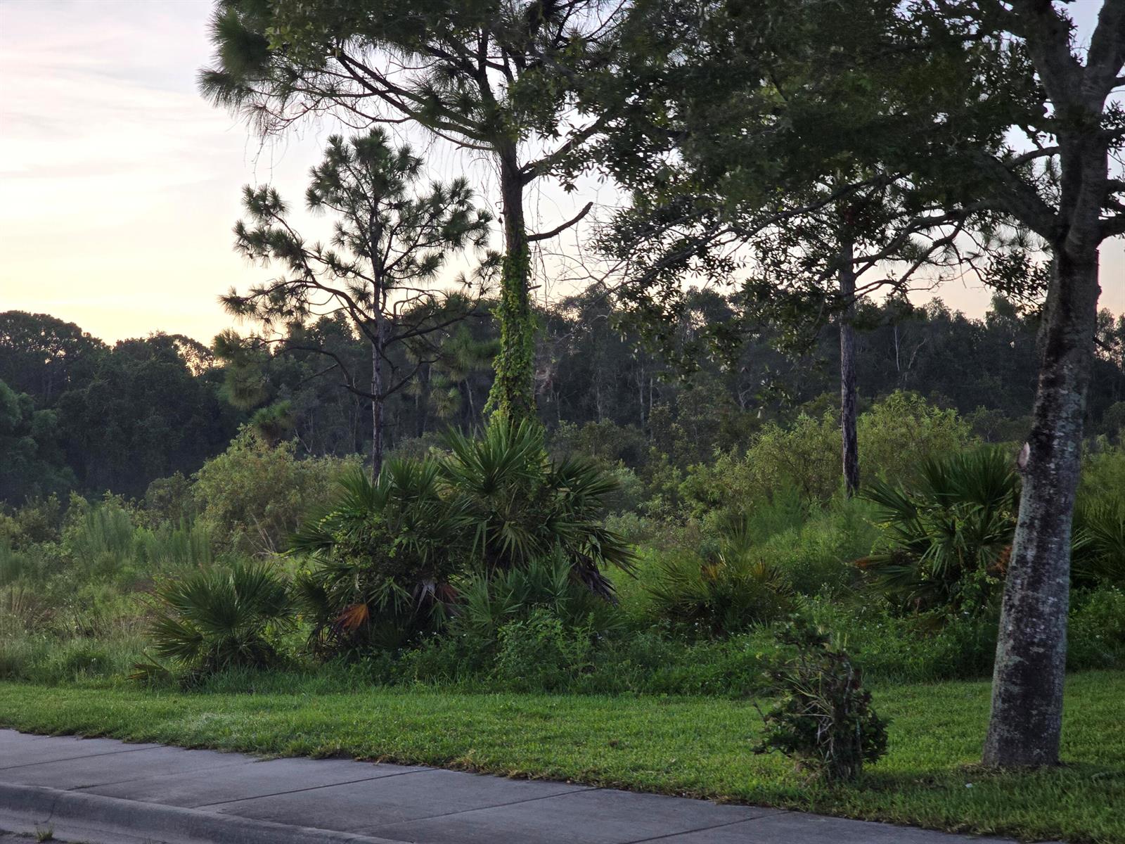 See details / 0 sq. ft. $ 2025-07-13 0 Photo