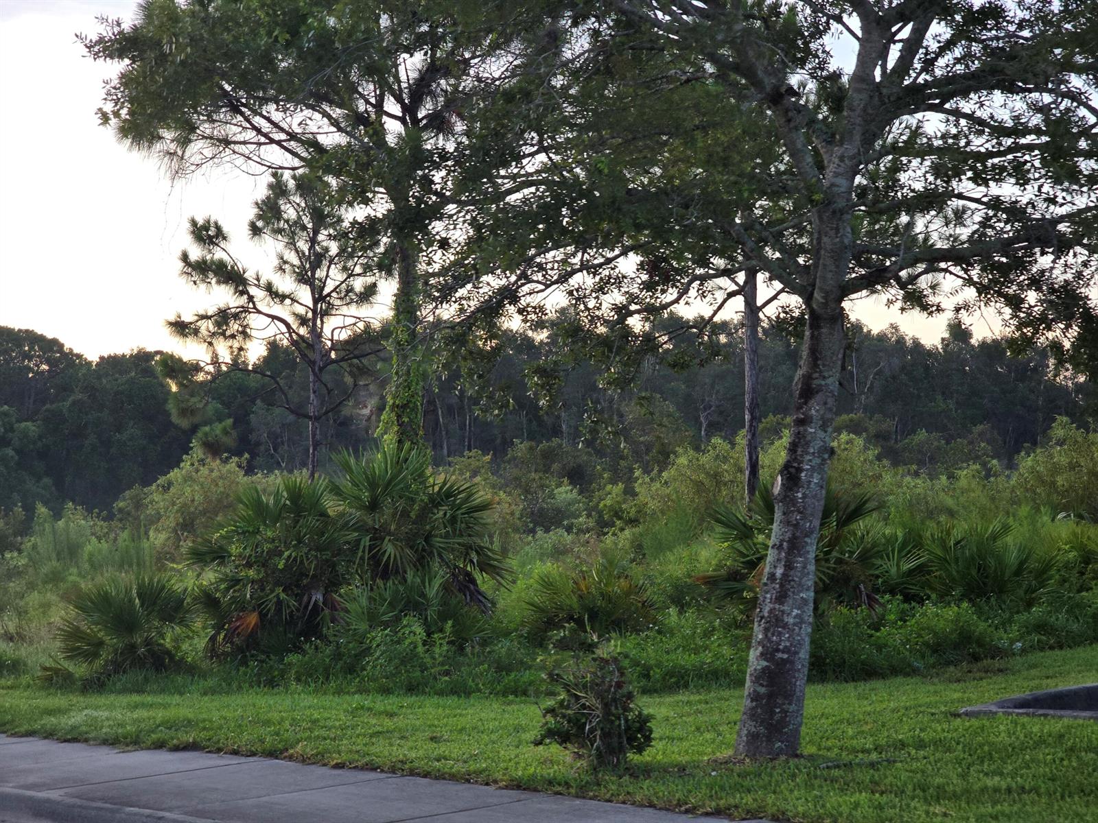 See details / 0 sq. ft. $ 2025-07-13 0 Photo