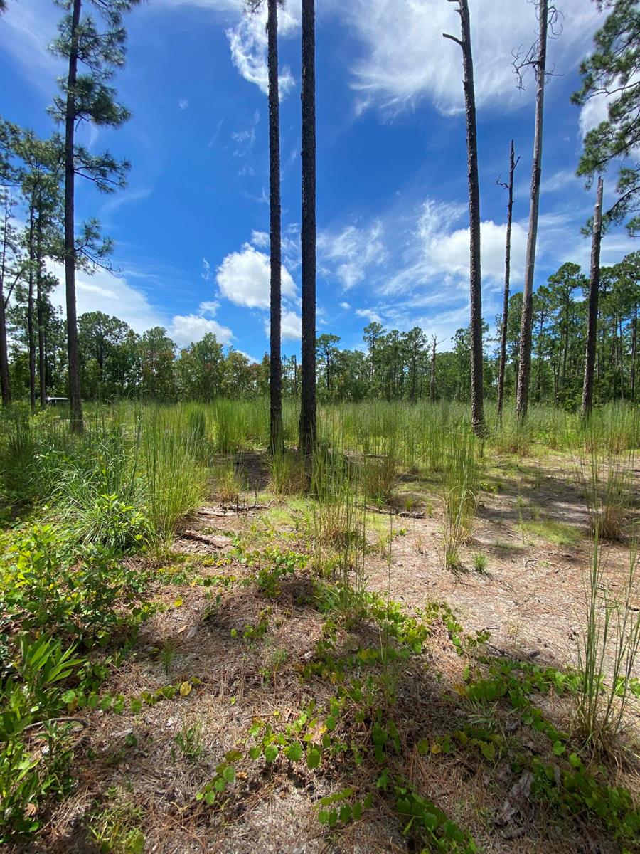   / 0  sq. ft. $ 2026-06-19 0 foto