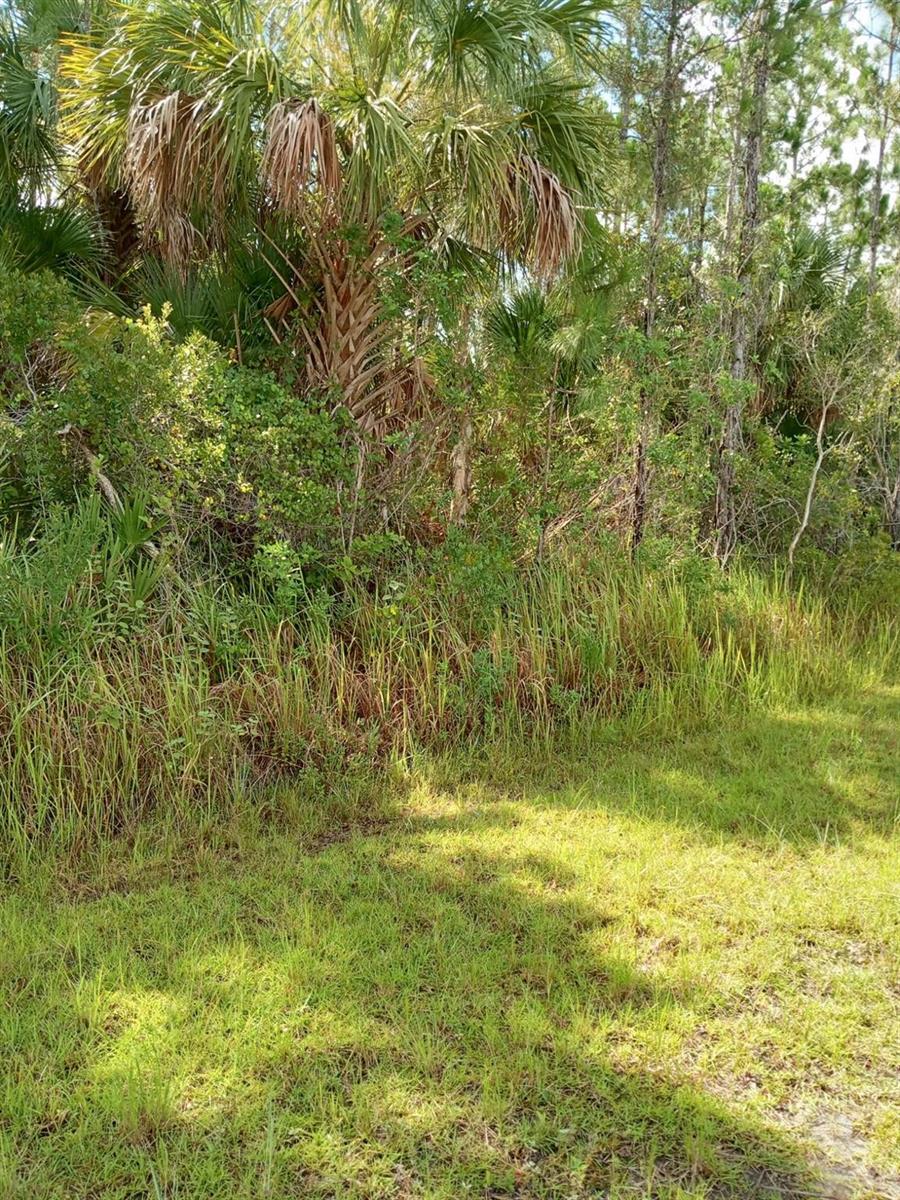 Ver detalles / 0 sq. ft. $ 2026-06-15 0 foto