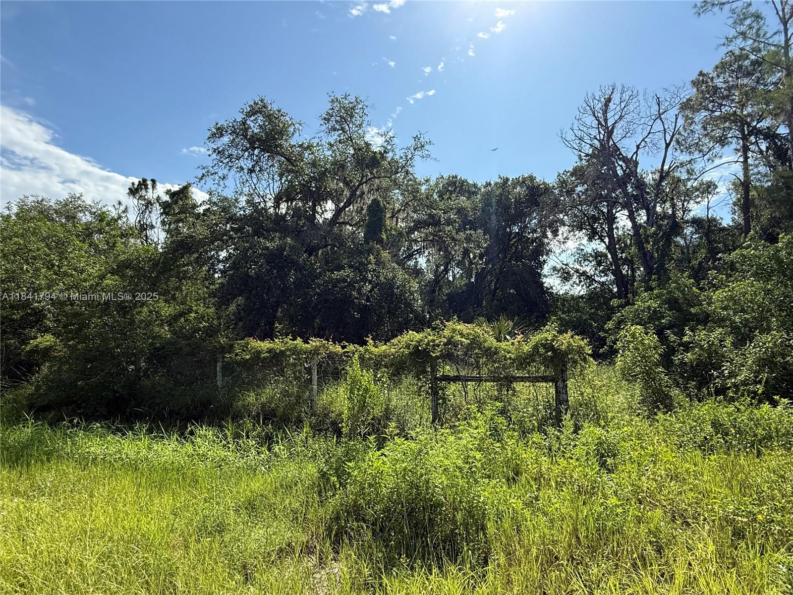See details / sq. ft. $ 2025-07-16 0 Photo