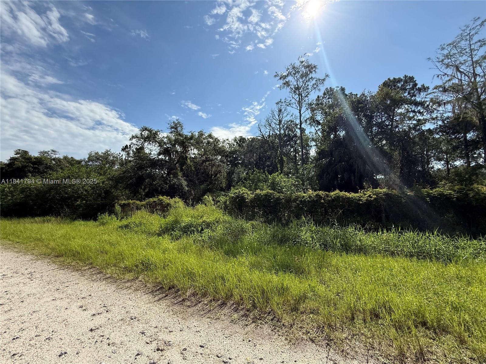 See details / sq. ft. $ 2025-07-16 0 Photo