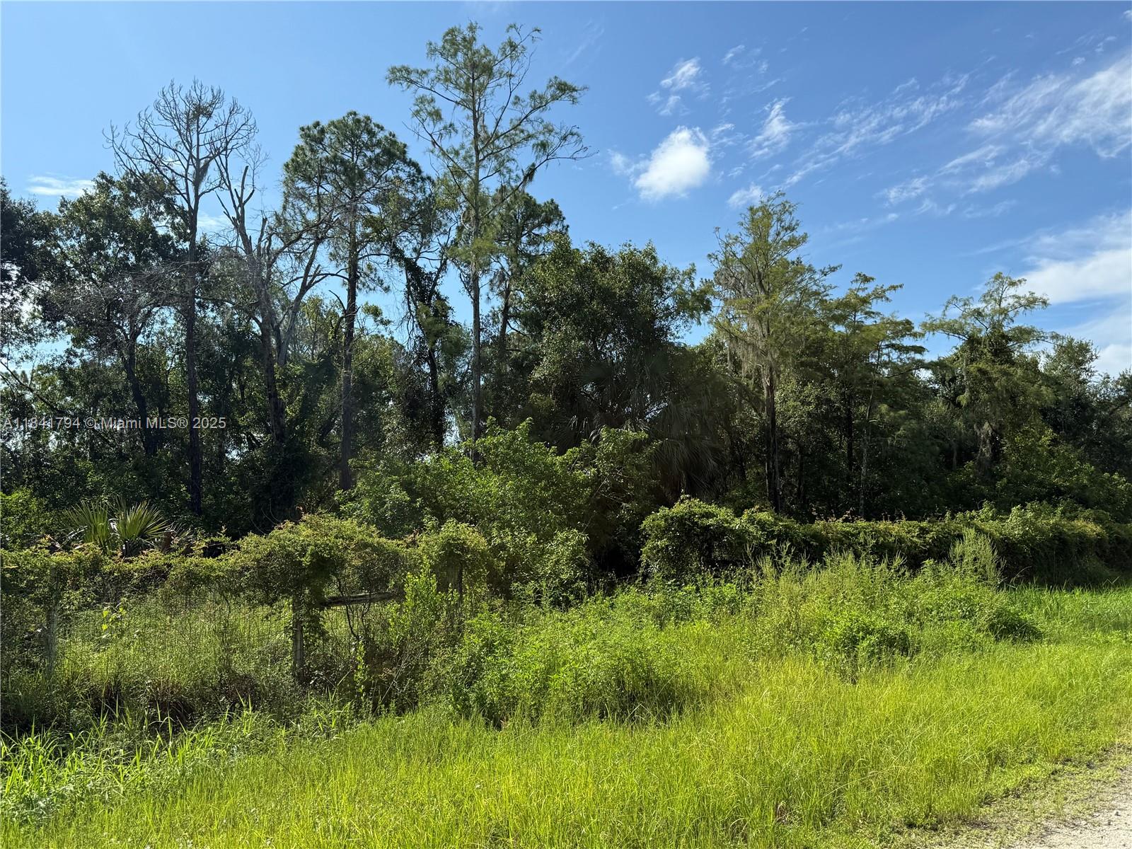 See details / sq. ft. $ 2025-07-16 0 Photo