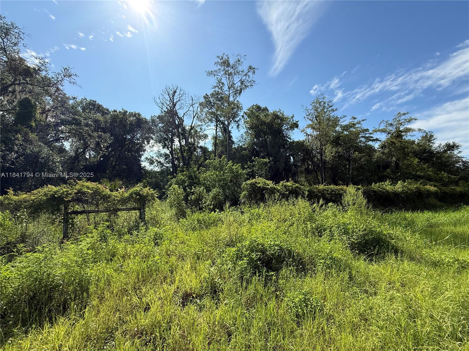 See details / sq. ft. $ 2025-07-16 0 Photo