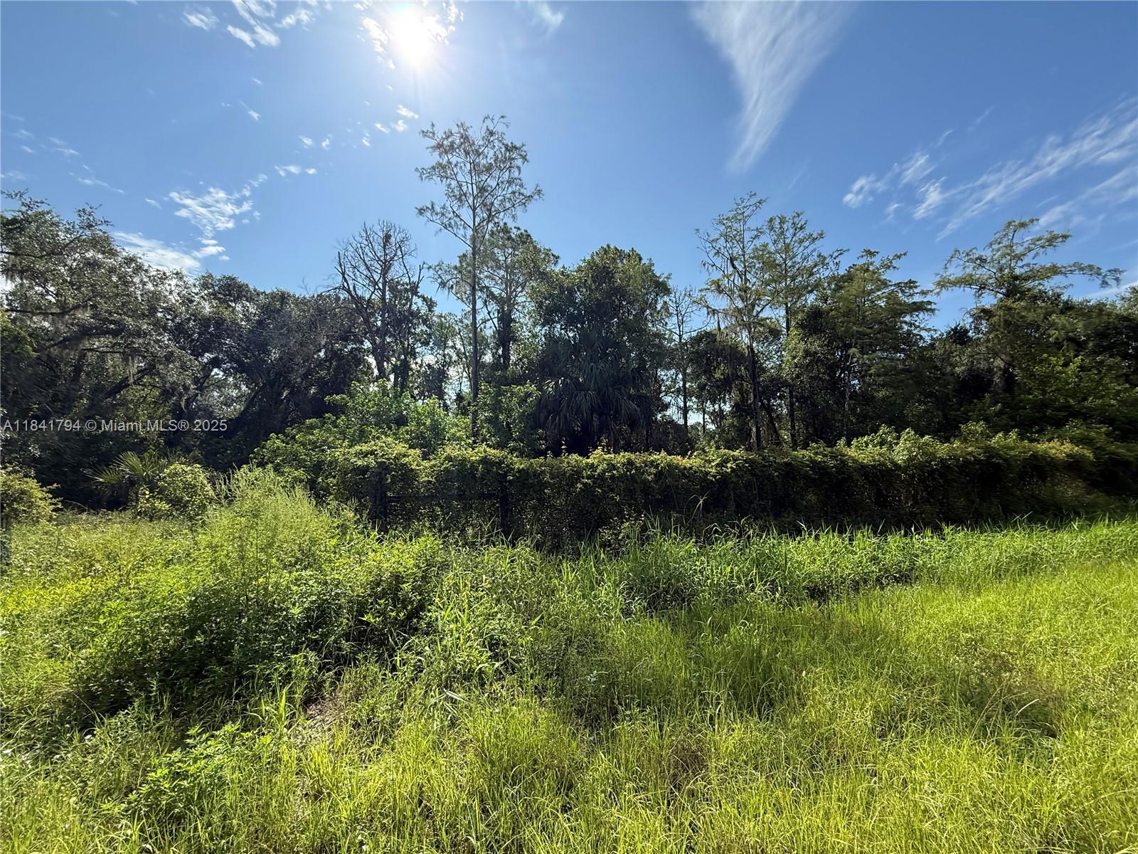 See details / sq. ft. $ 2025-07-16 0 Photo