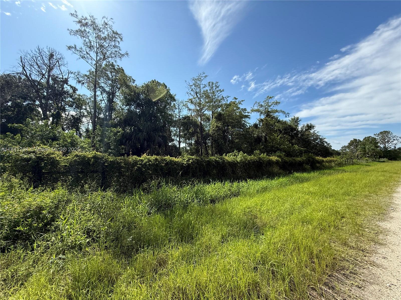 See details / sq. ft. $ 2025-07-16 0 Photo