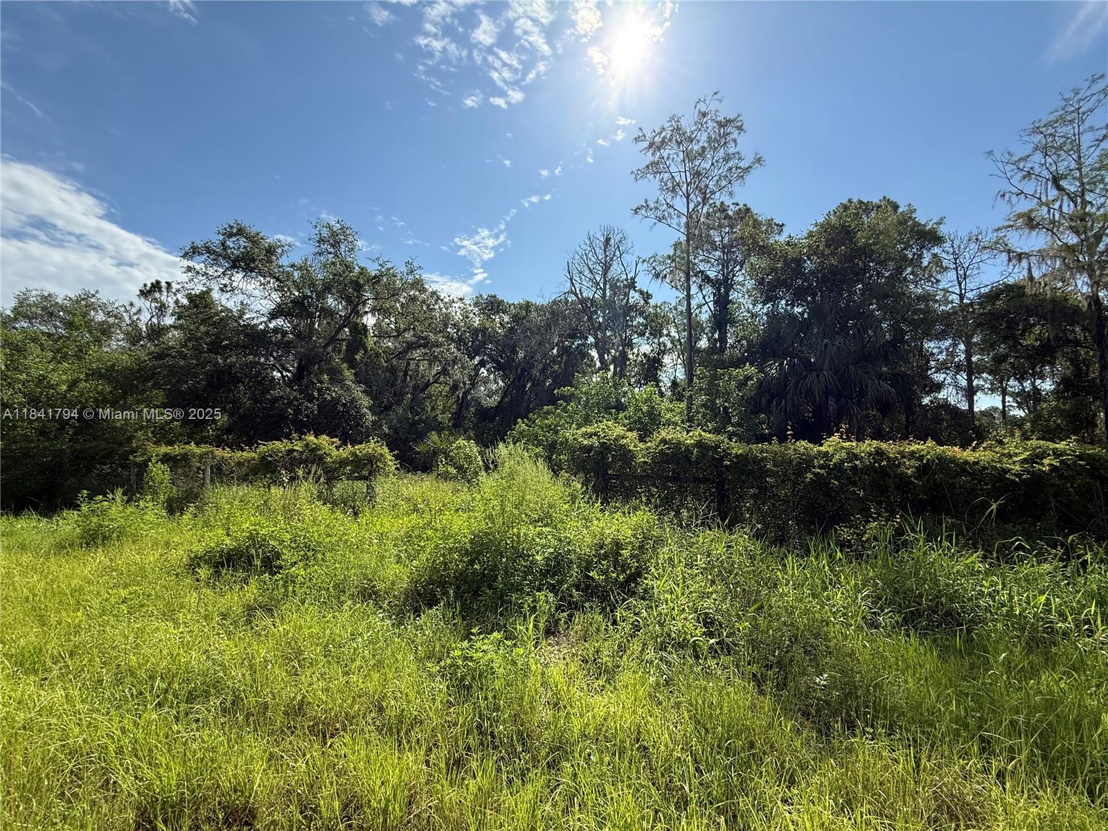 See details / sq. ft. $ 2025-07-16 0 Photo