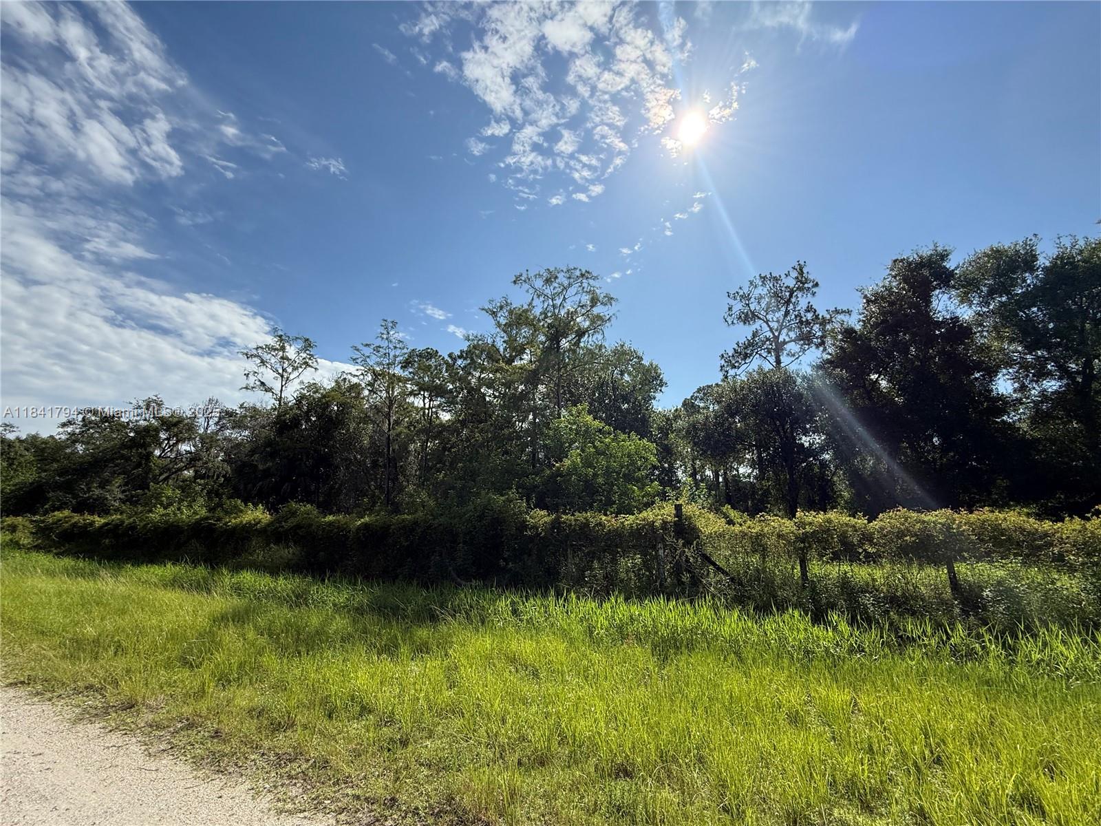 See details / sq. ft. $ 2025-07-16 0 Photo