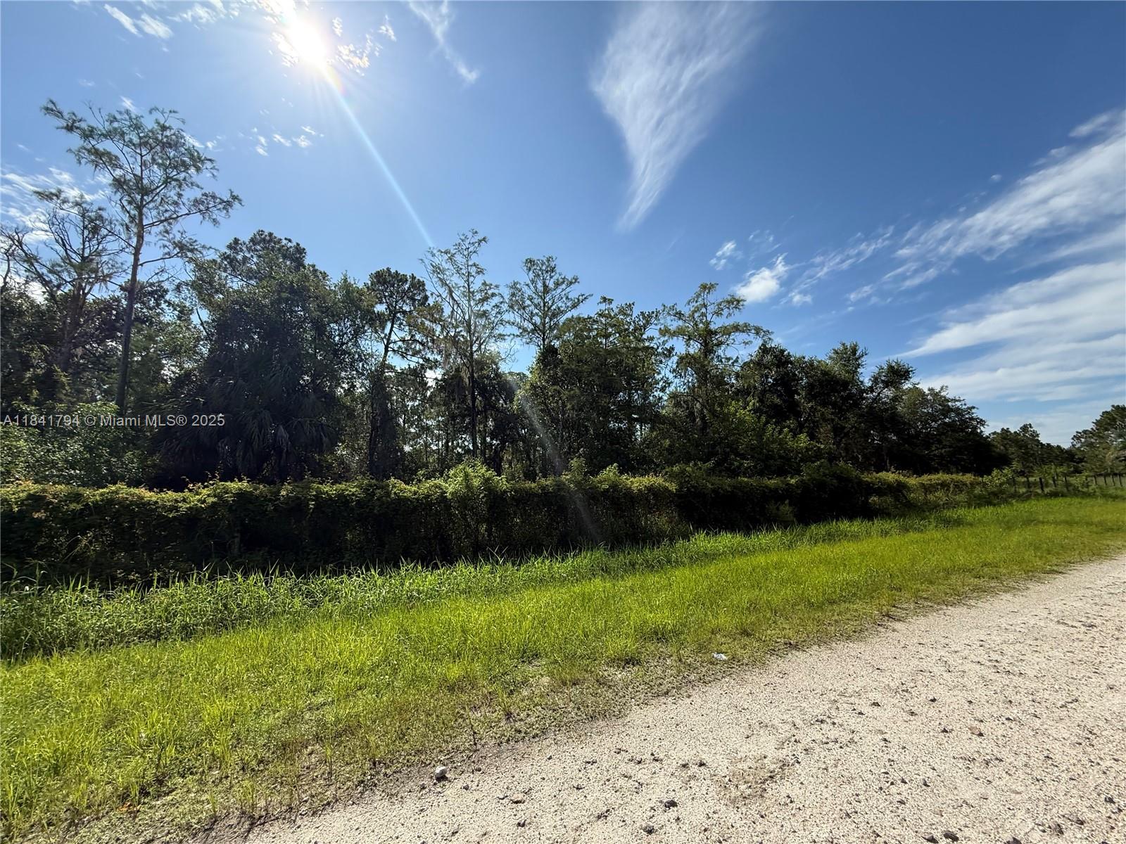 See details / sq. ft. $ 2025-07-16 0 Photo