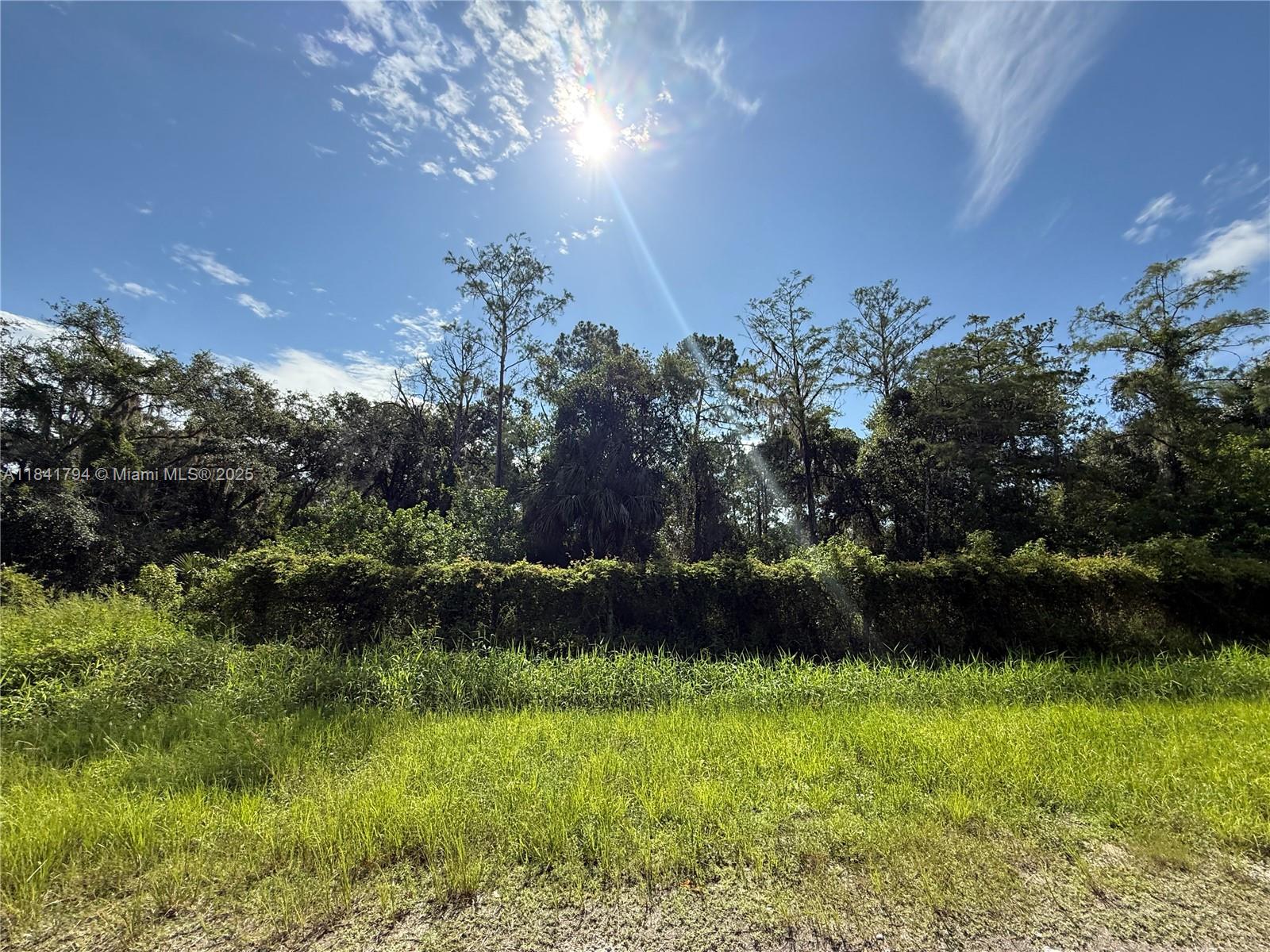 See details / sq. ft. $ 2025-07-16 0 Photo