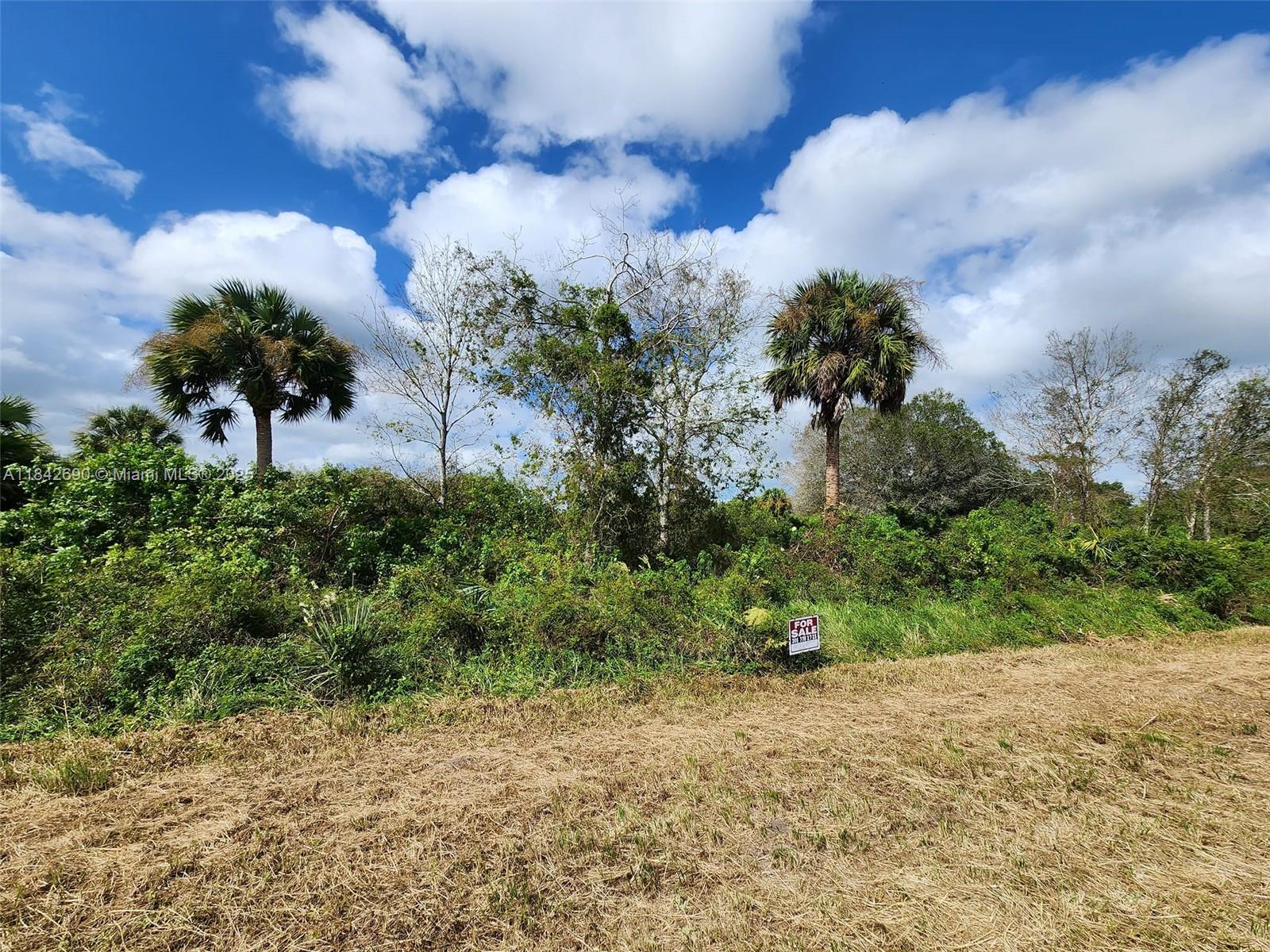 See details / sq. ft. $ 2025-07-18 0 Photo